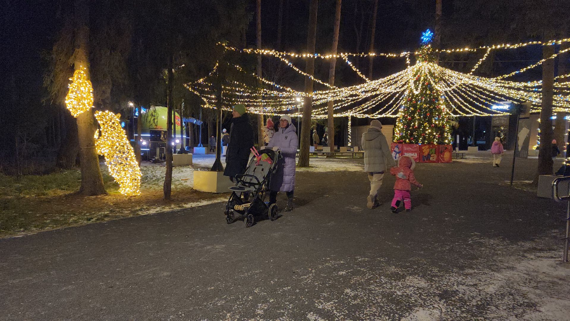 истра, лесопарк, зима в подмосковье,