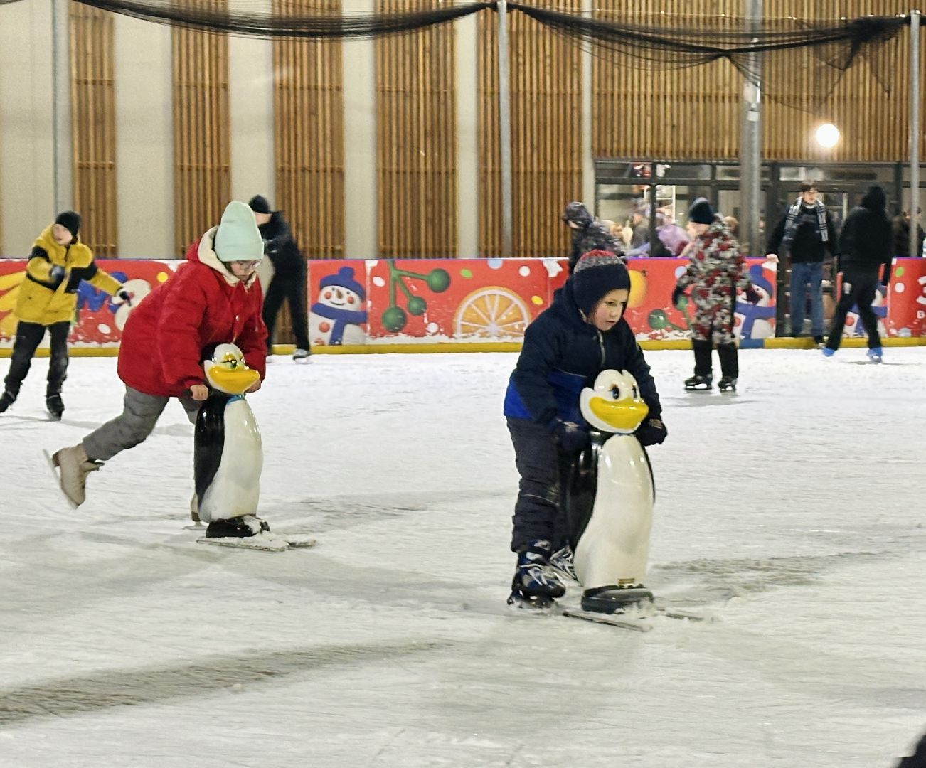 пушкинский городской округ, пушкино, центральный парк культуры и отдыха, каток, Каток в Пушкино, Коньки,