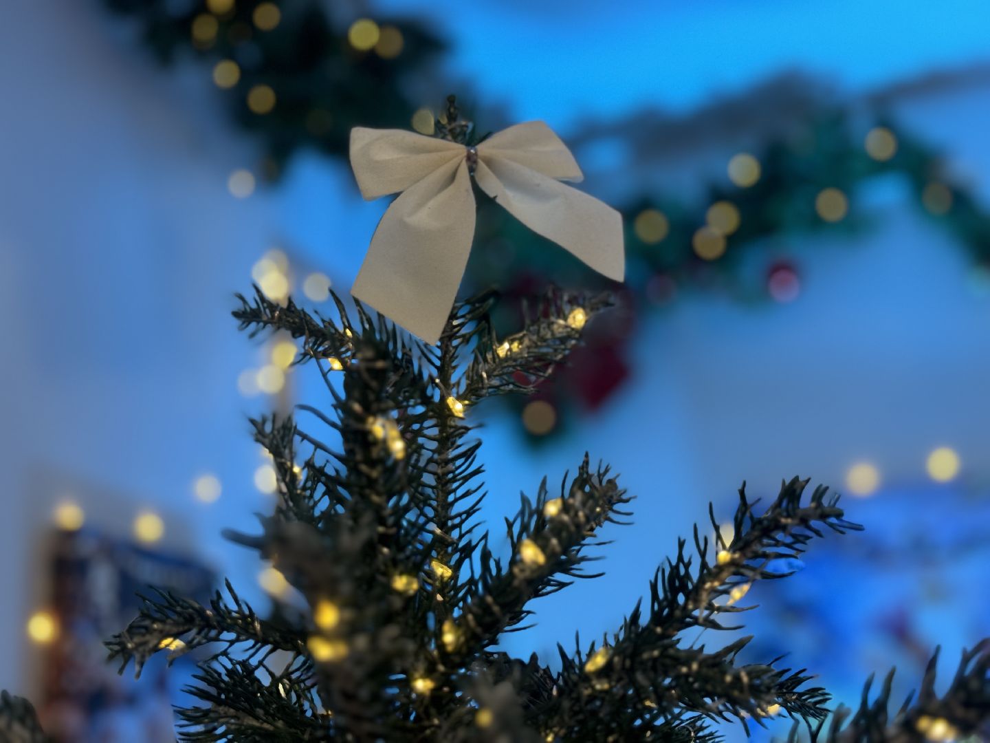 резиденция деда мороза, новогодняя программа, зима в  подмосковье, мастер класс, елочная игрушка, письмо деду морозу,