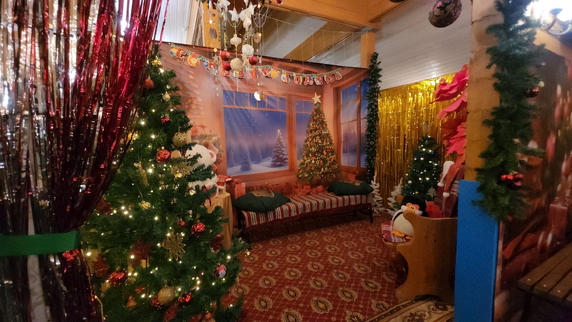 Павловский Посад , Новый год, Парк,