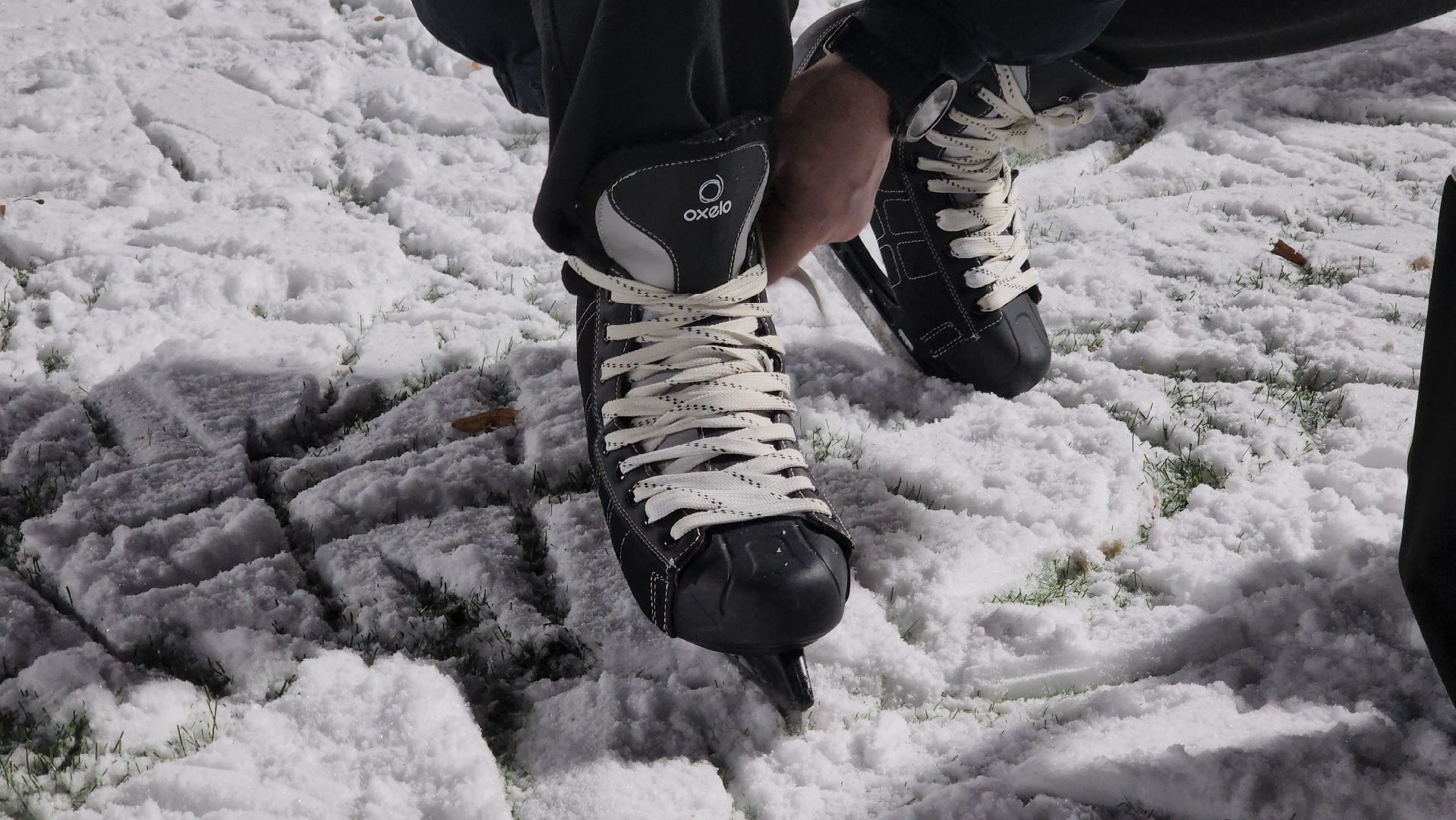 красногорск, массовые катания, коньки, зима в  подмосковье,