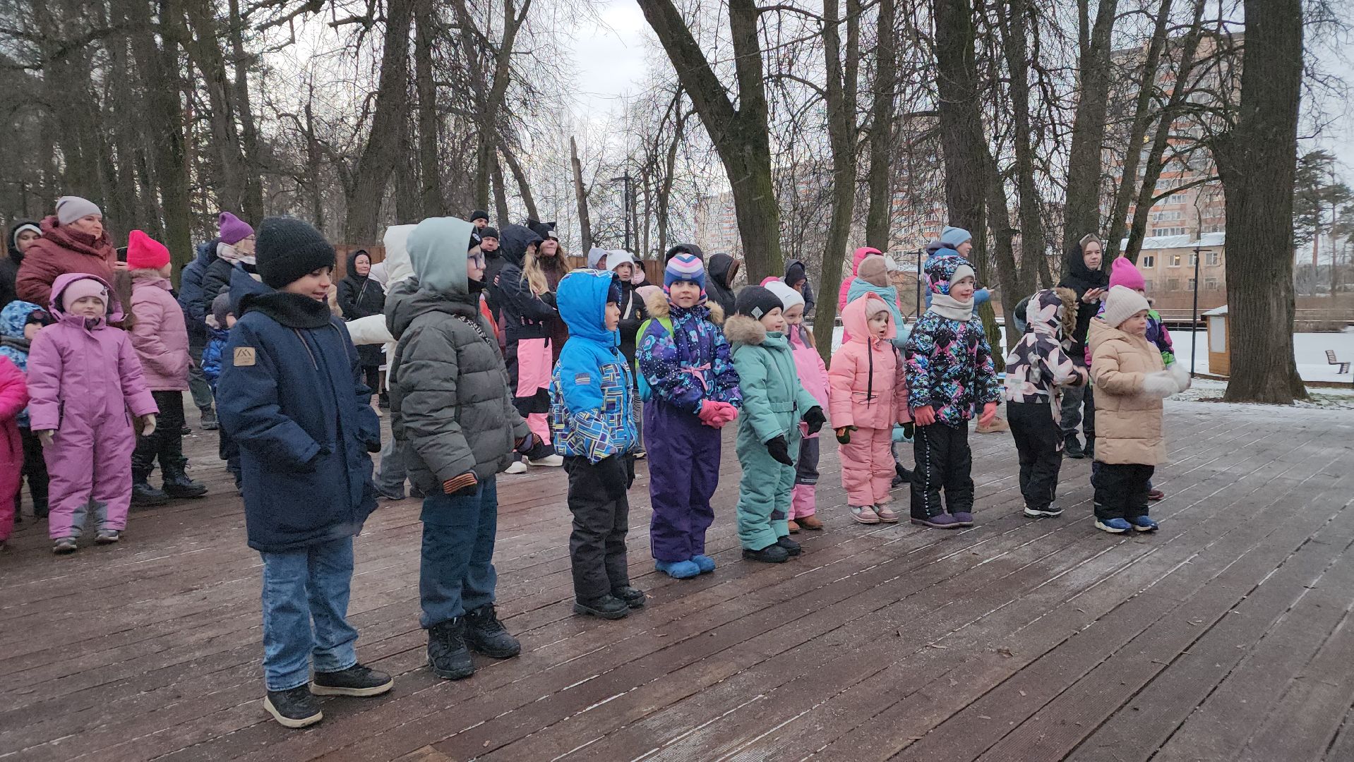 парки подмосковья, зима в парке, новогодняя игрушка, новый год, лосино-петровский,