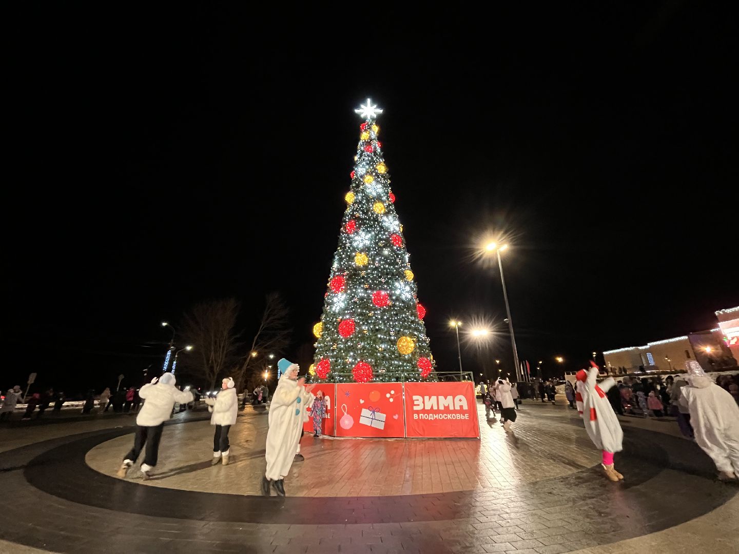рошаль, главная елка, зажжение елки,