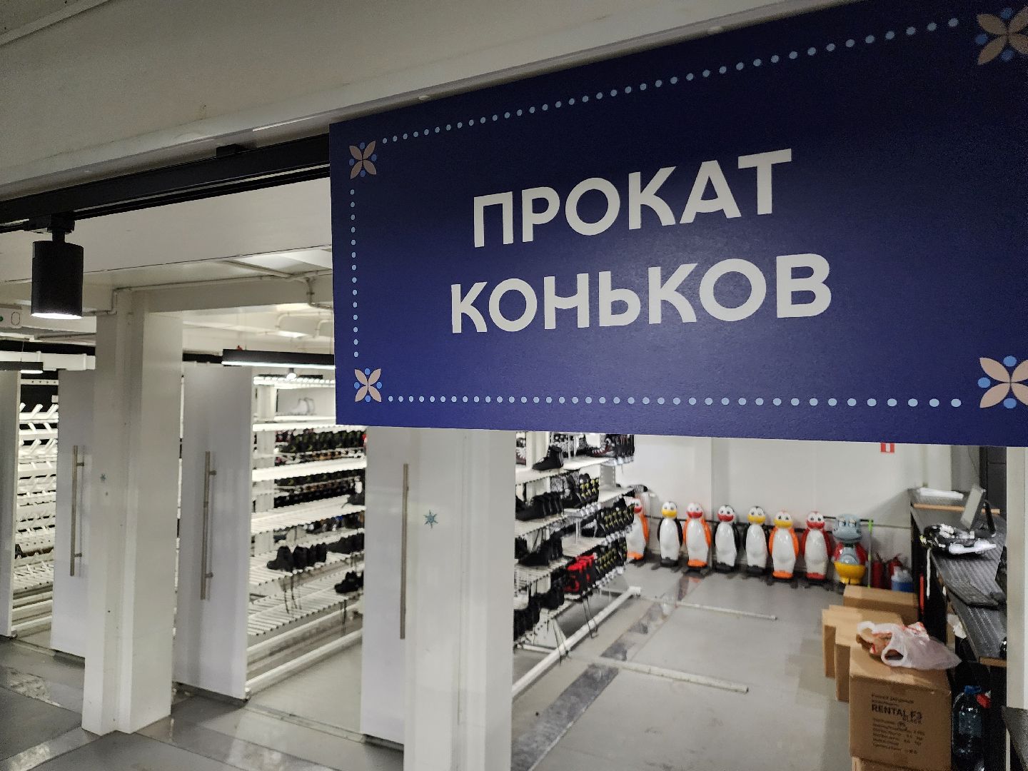 каток, коньки, спорт, новый год,