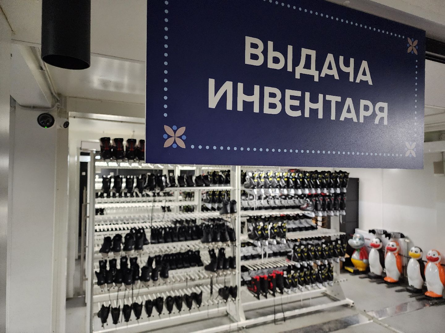 каток, коньки, спорт, новый год,