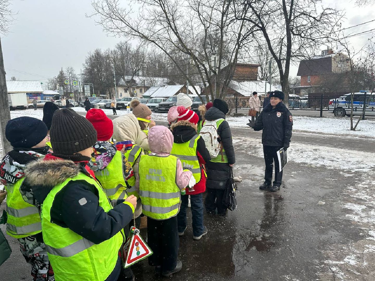 безопасная зима, гаи, домодедово,