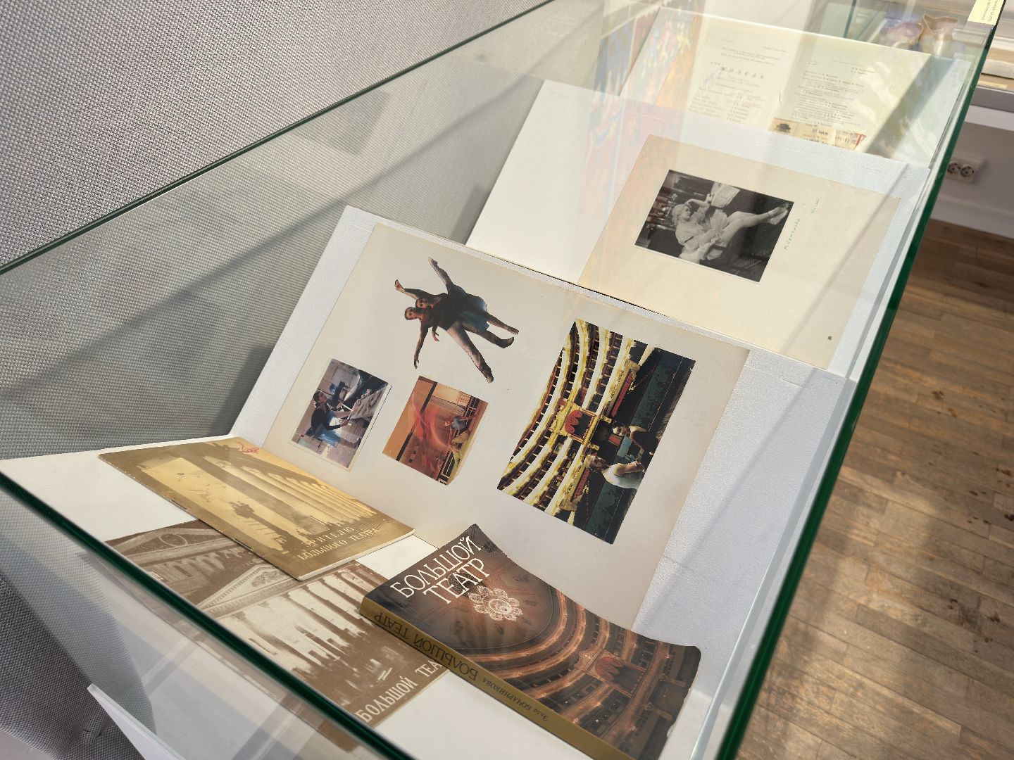 пушкинский городской округ, усадьба мураново, открытие выставки, культура, Афиши,