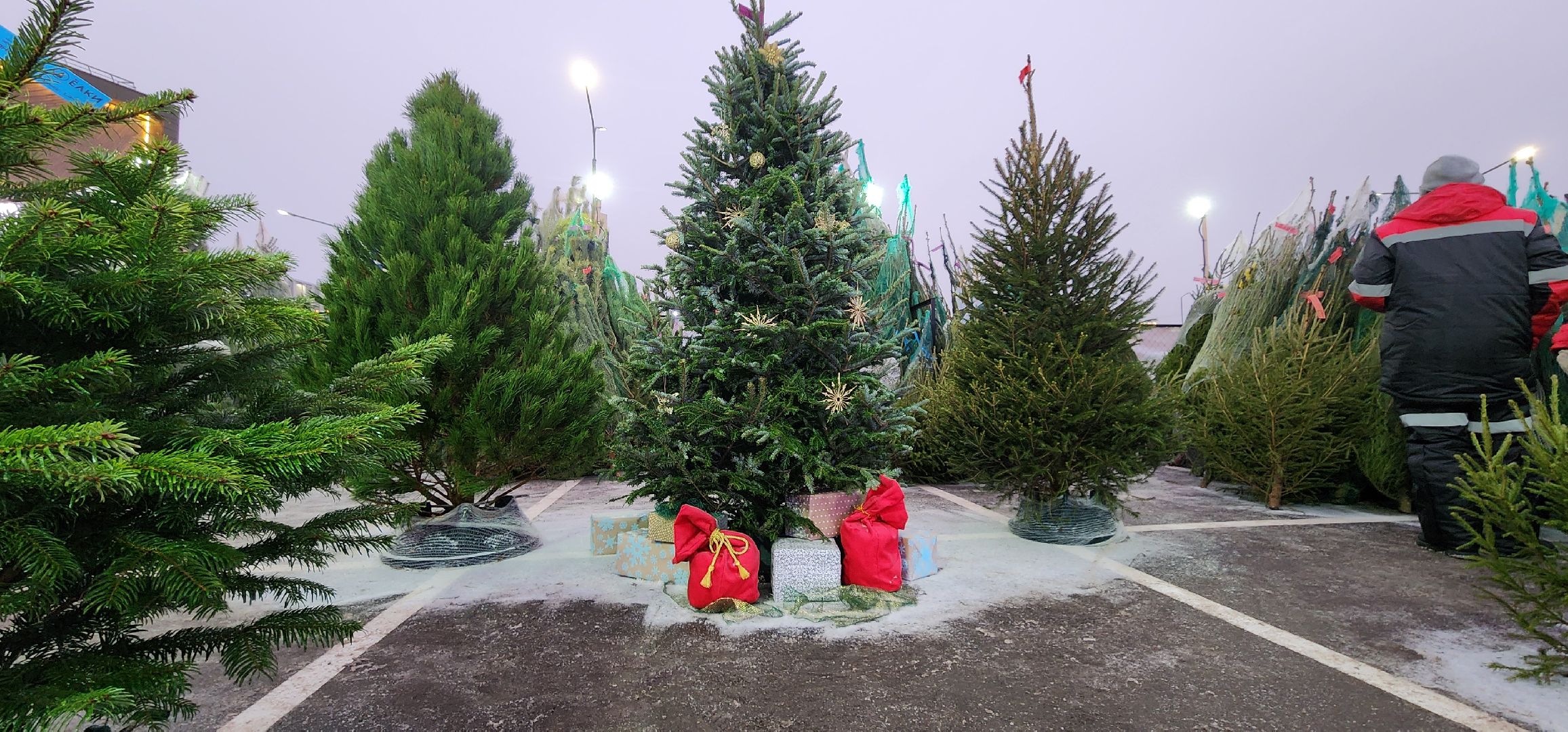 Химки, Зима в Подмосковье , Елочные базары,