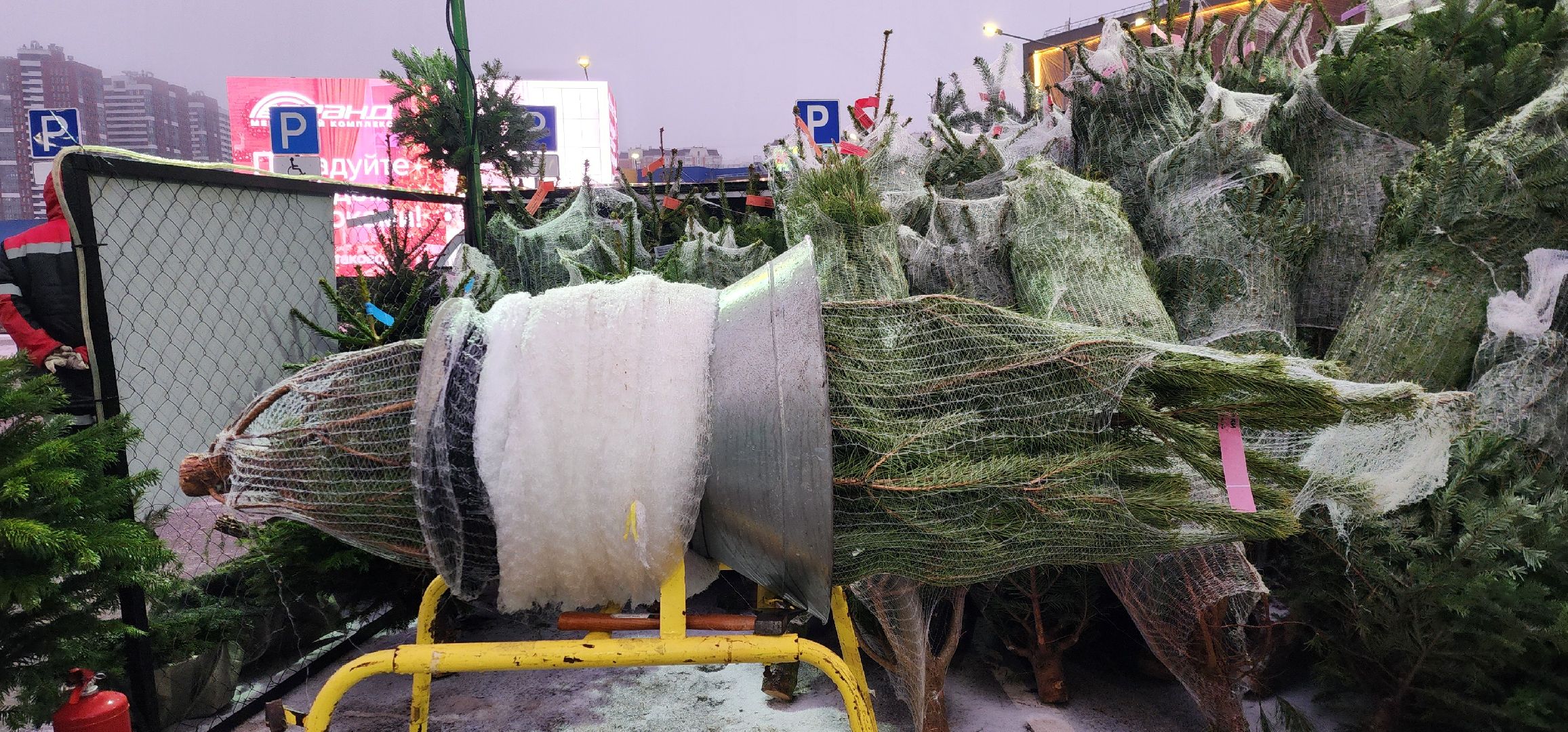 Химки, Зима в Подмосковье , Елочные базары,