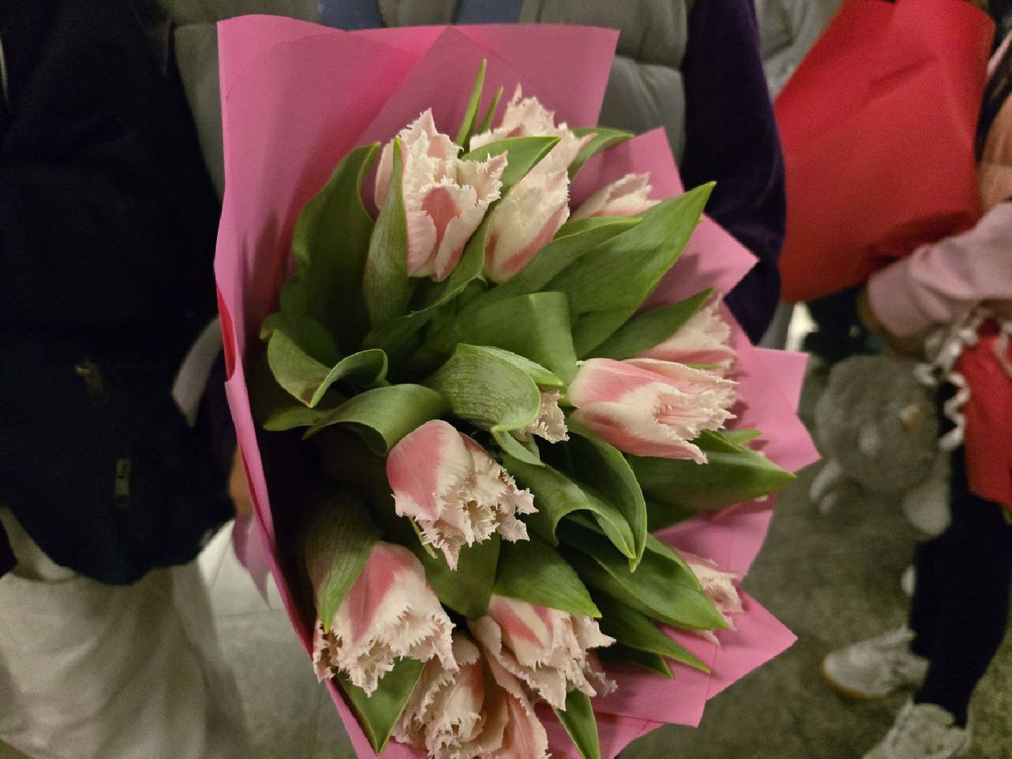 можайск, можайский муниципальный округ, подмосковье, спорт, художественная гинастика, соревнования,  призовые места, можайские гимнастки,