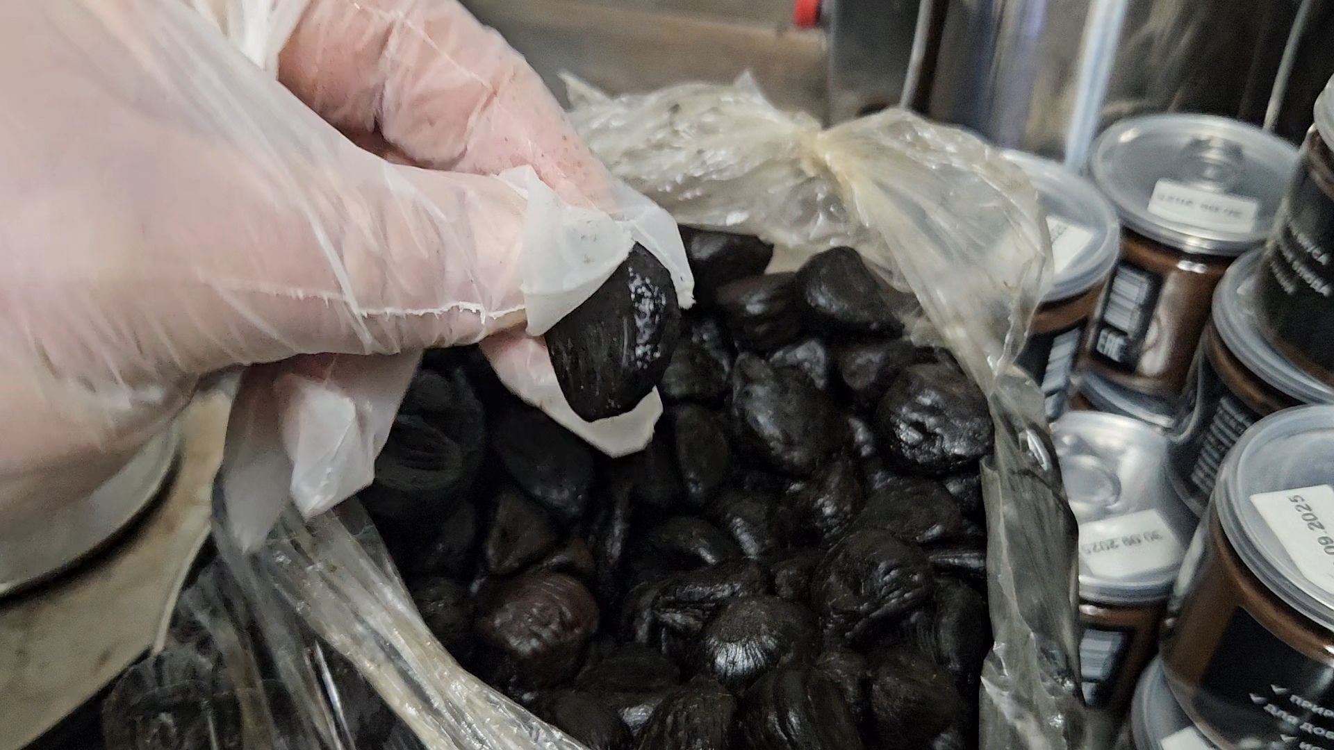 жуковский, чеснок, кен-ко,