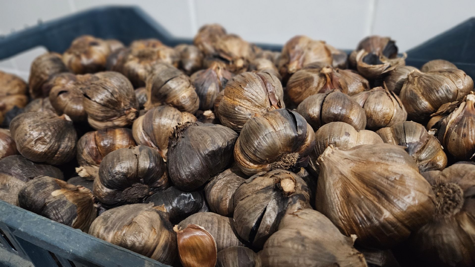 жуковский, чеснок, кен-ко,