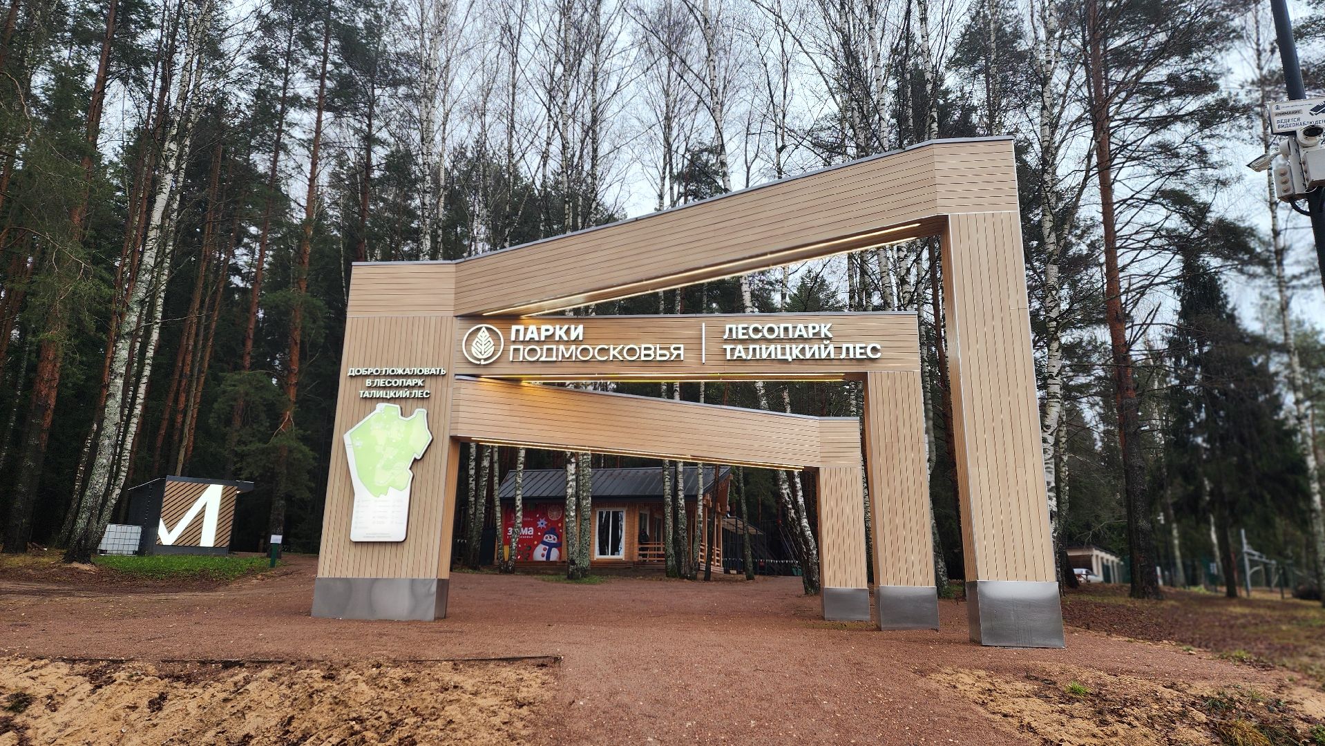 клин, талицкий лес, елка в лесу, шариха,