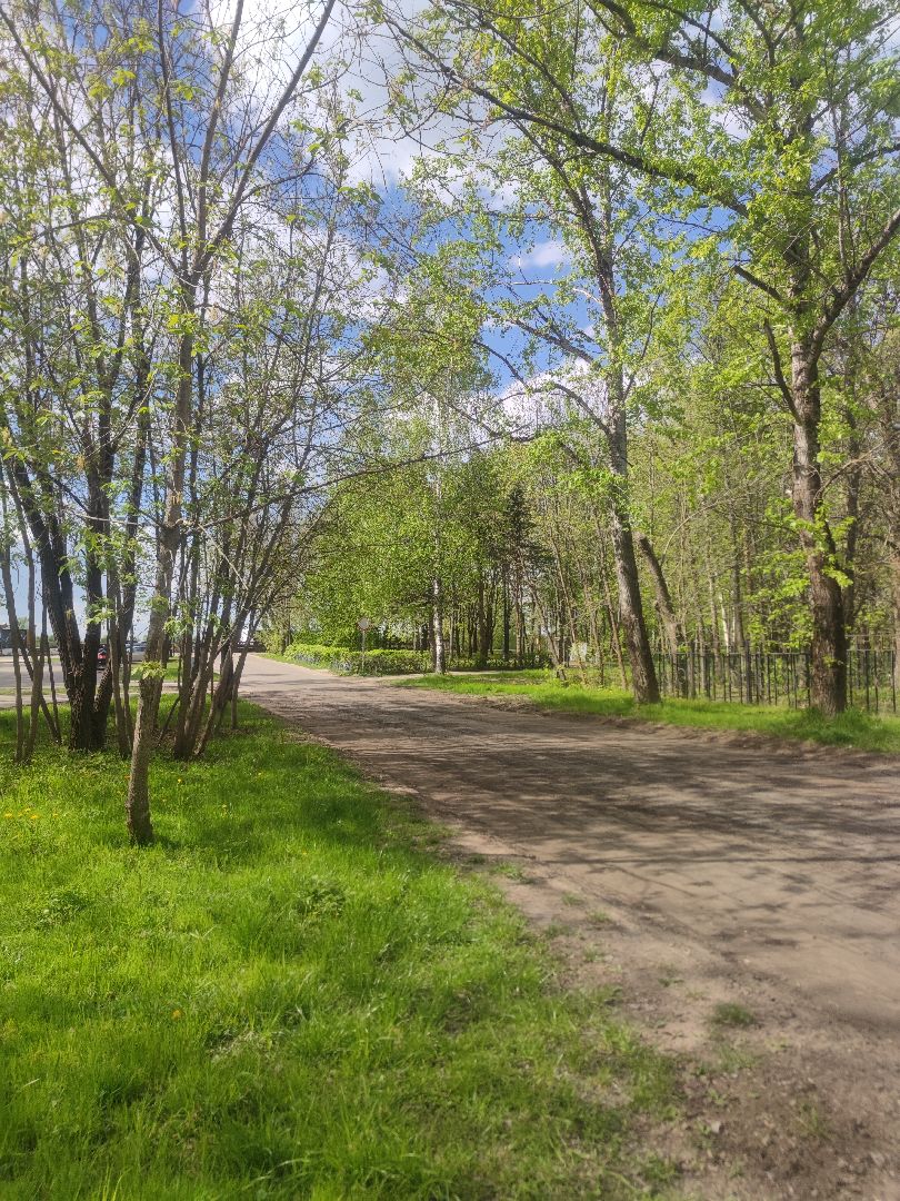 Ремонт дорог, плановый ремонт, ЖКХ, Дубна