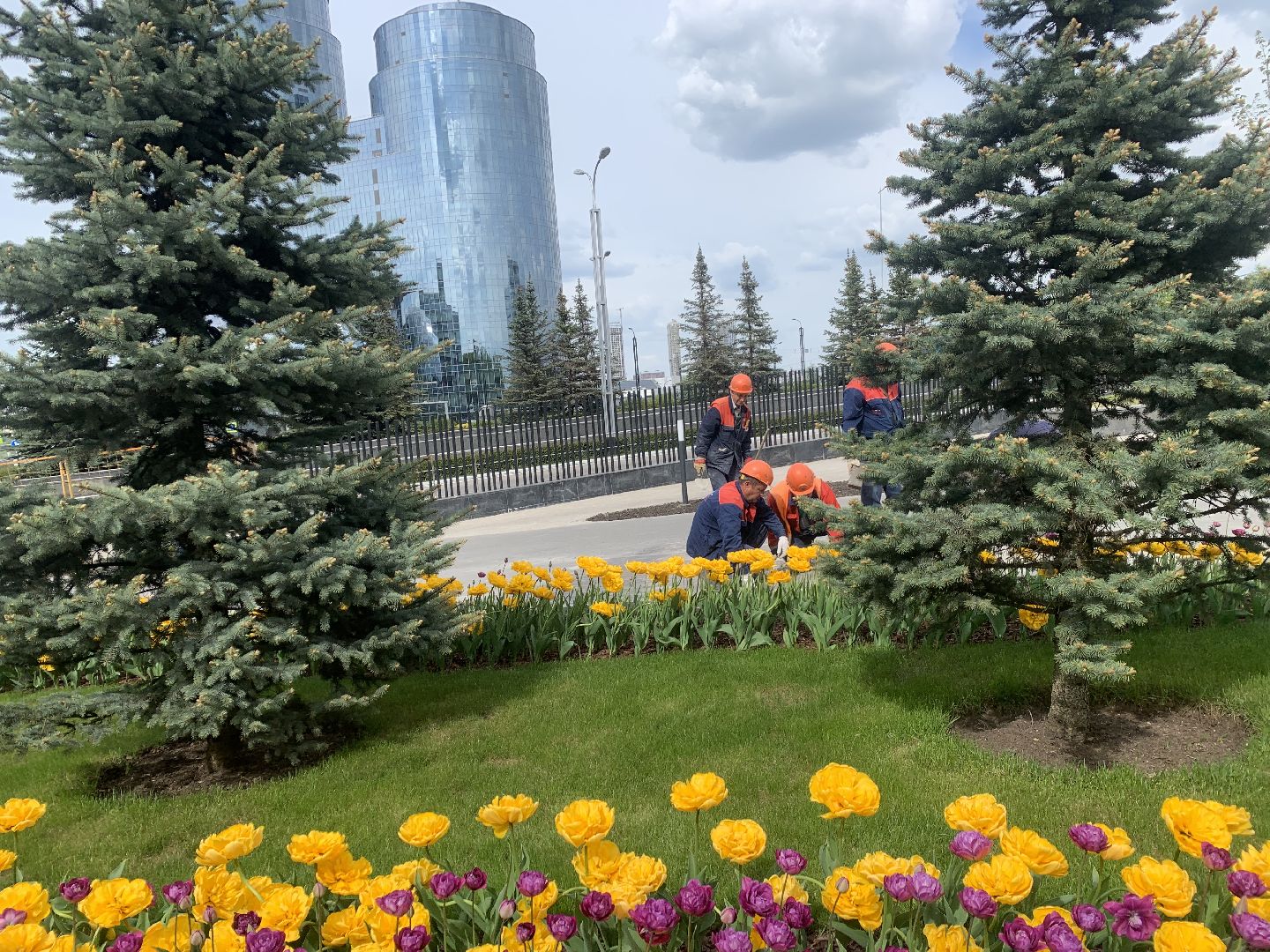 Благоустройство,Красногорск,цветы,подготовка к летнему сезону