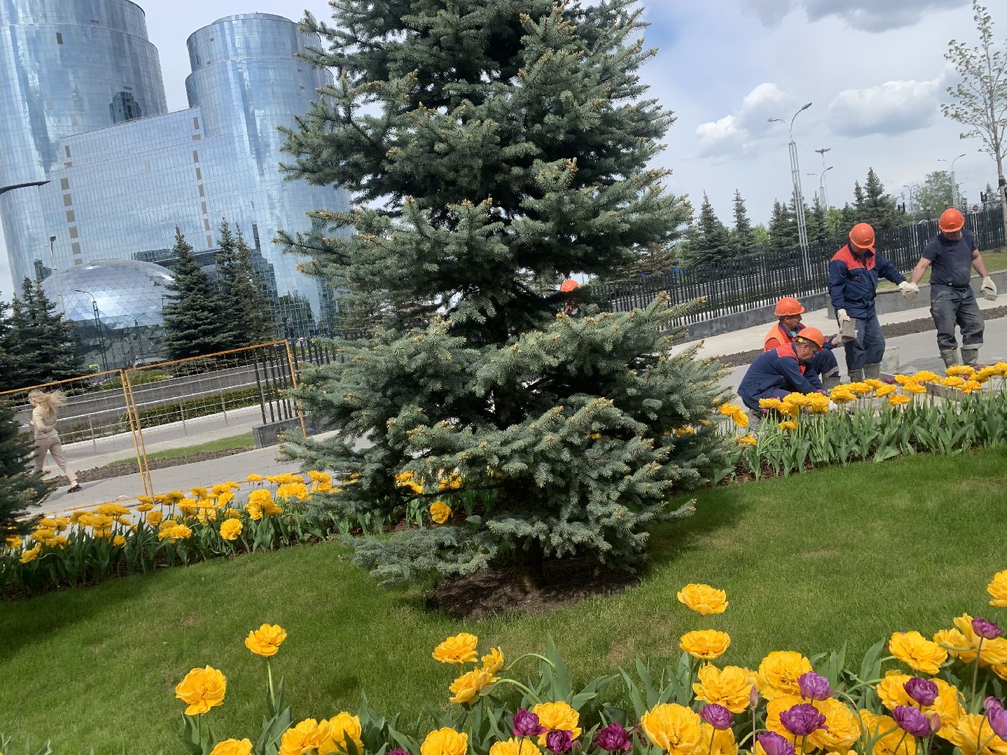 Благоустройство,Красногорск,цветы,подготовка к летнему сезону