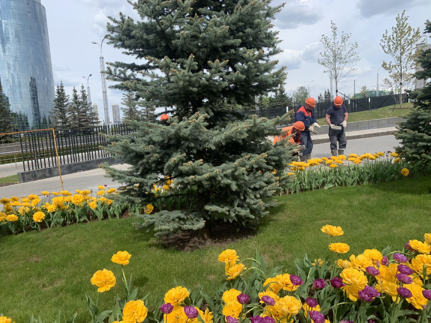 Благоустройство,Красногорск,цветы,подготовка к летнему сезону