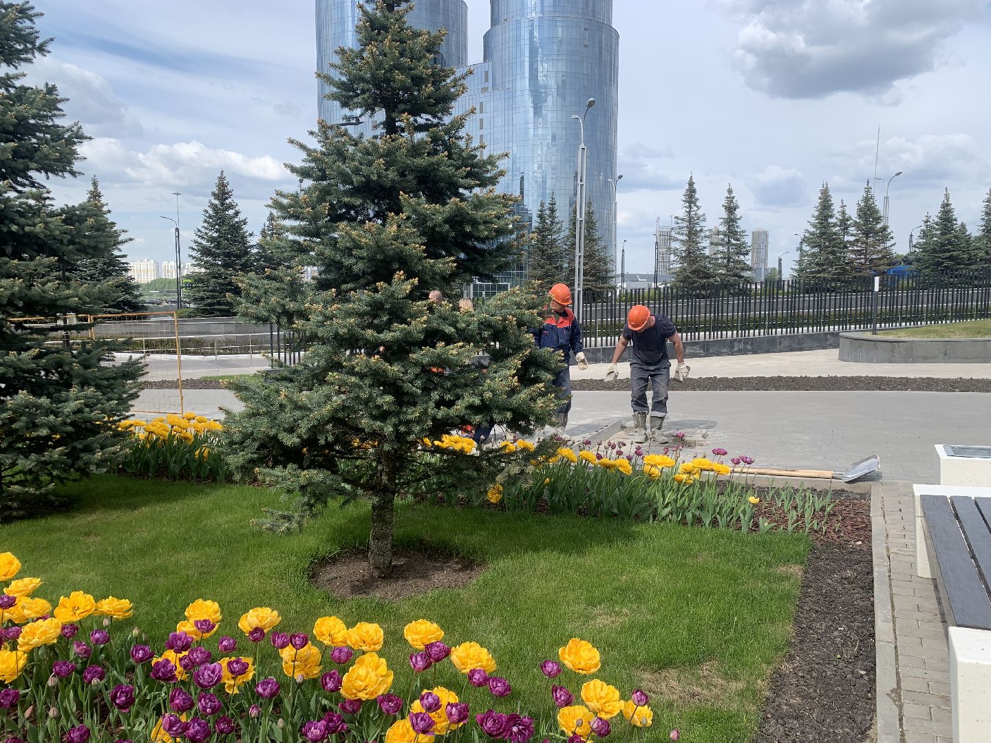 Благоустройство,Красногорск,цветы,подготовка к летнему сезону