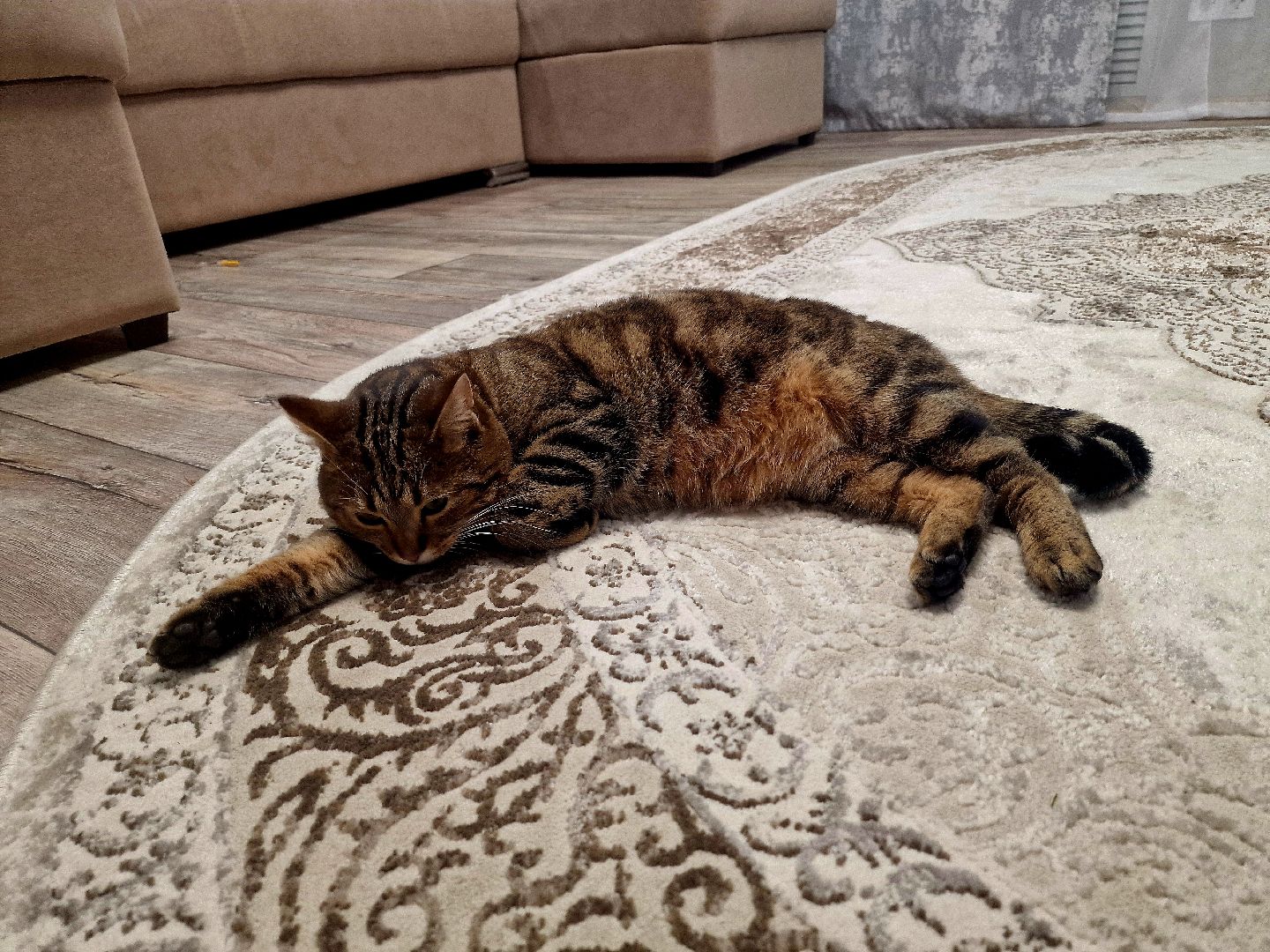 воскресенск, памятник бойцам сво,