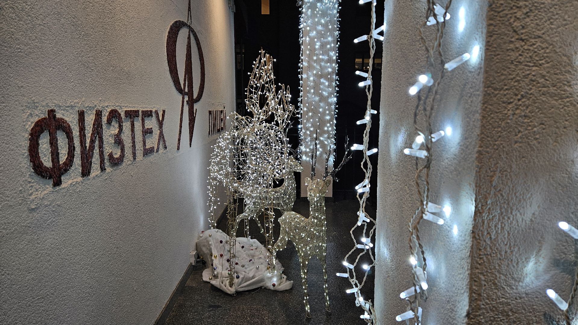 долгопрудный, зима в подмосковье 2025, новогоднее оформление, конкурс,конкурс на новогоднее оформление, гирлянды,