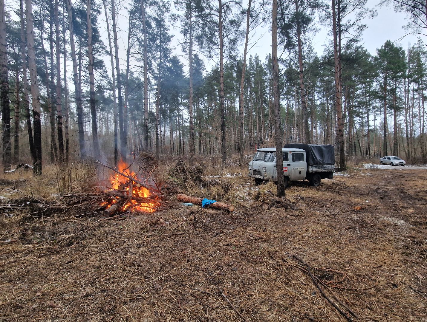 воскресенск, мособллес,