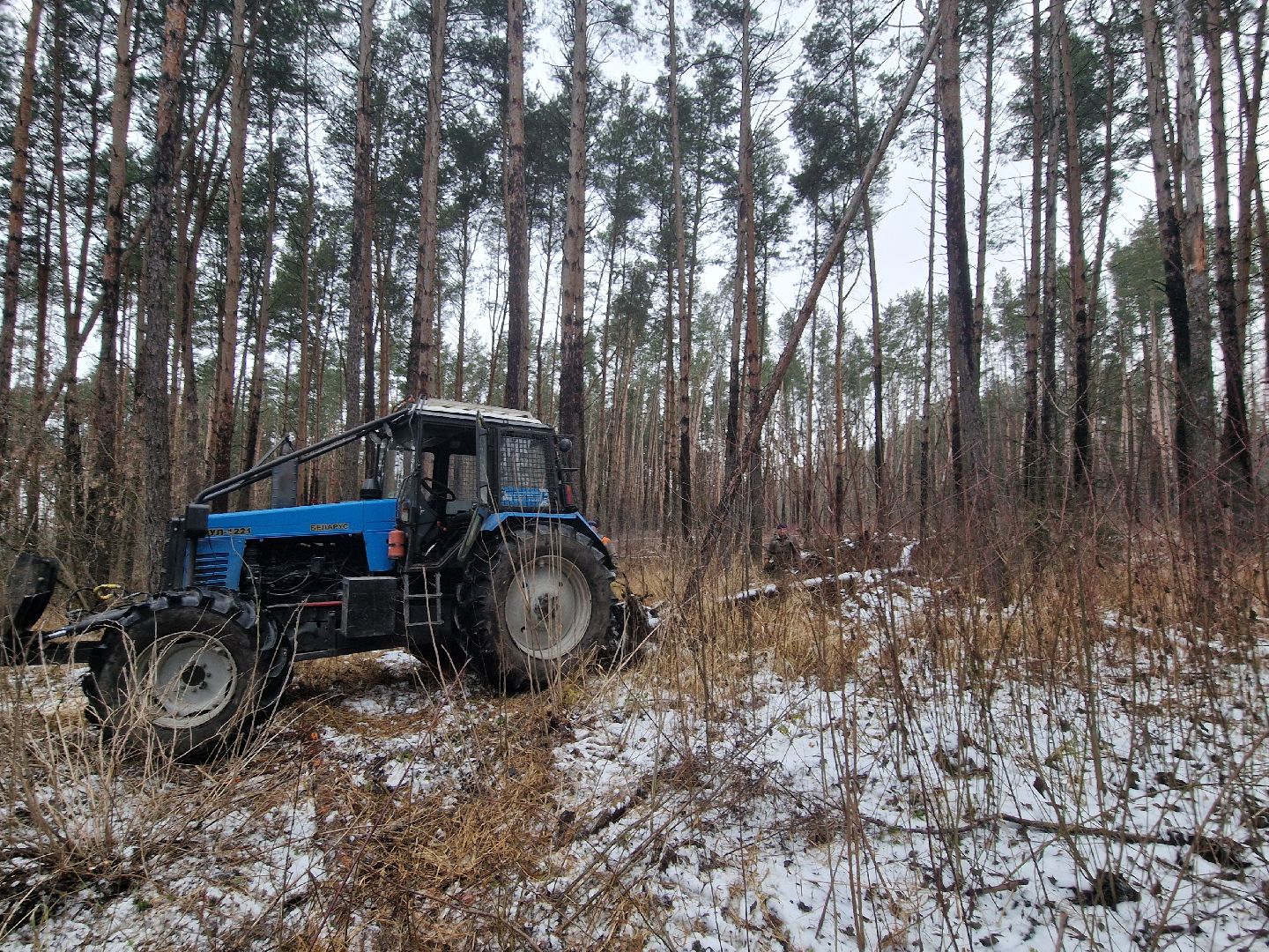 воскресенск, мособллес,