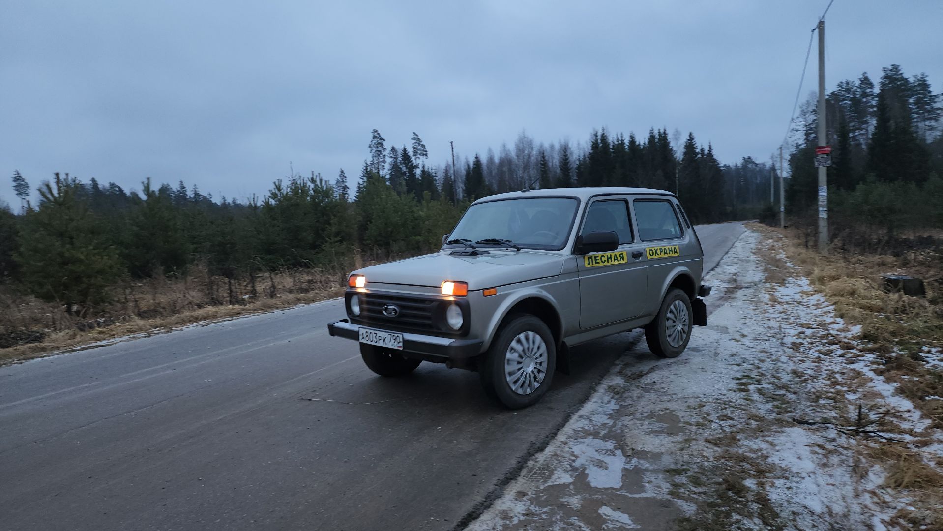 щёлково, Незаконная вырубка елок, Патрулирование лесов,