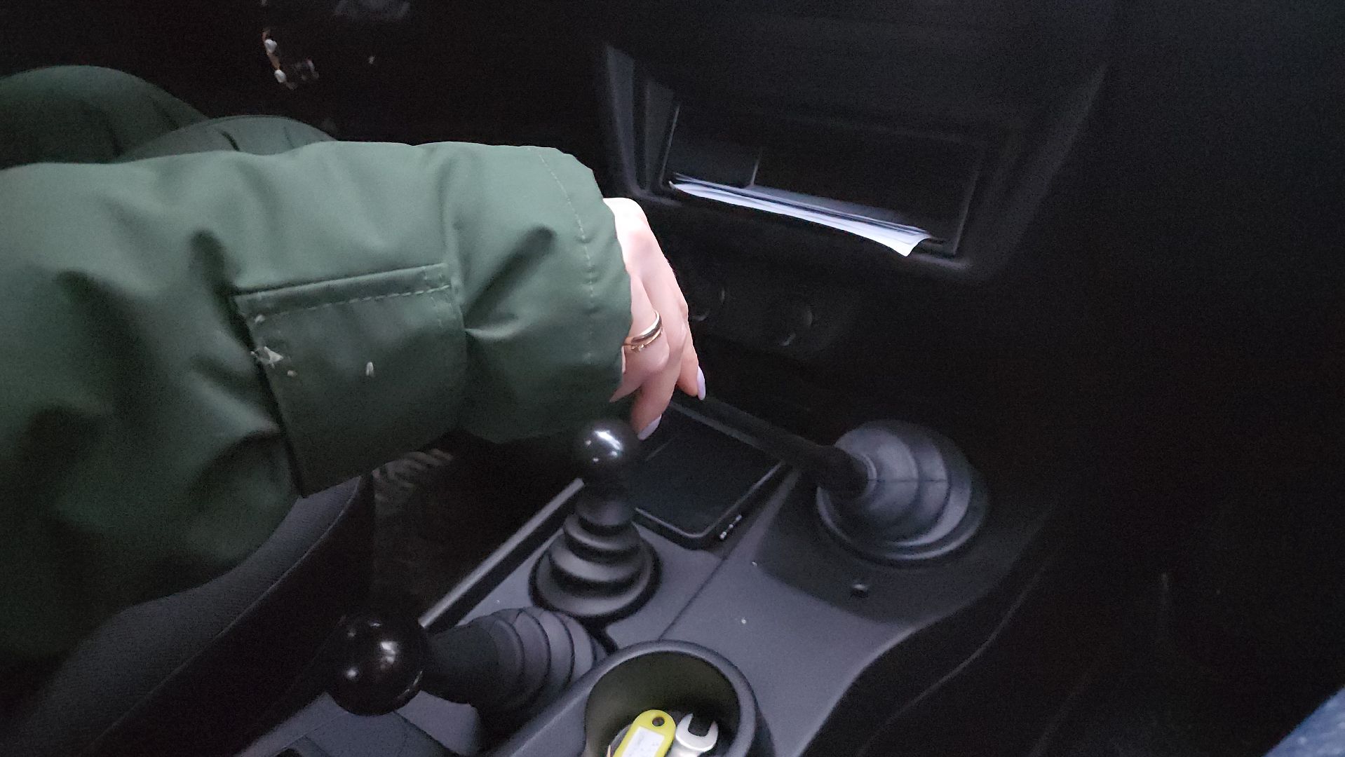 щёлково, Незаконная вырубка елок, Патрулирование лесов,