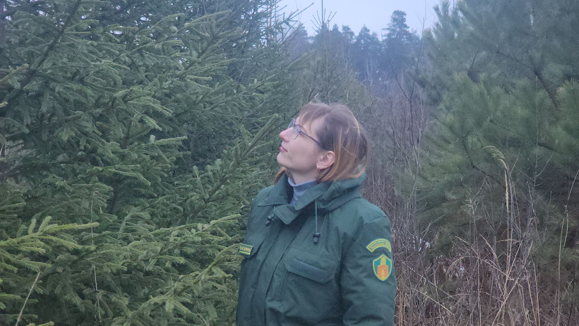 щёлково, Незаконная вырубка елок, Патрулирование лесов,