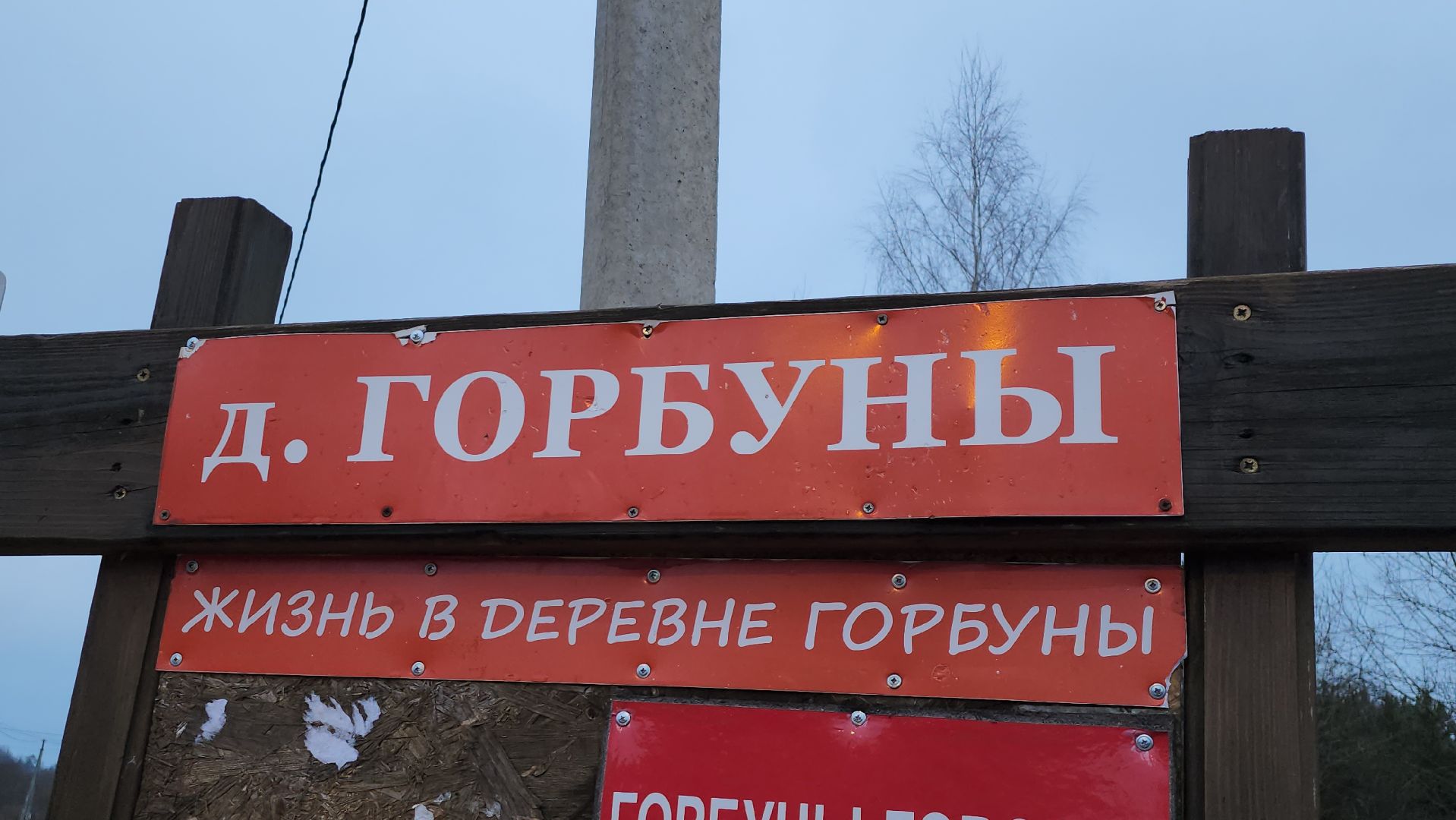 щёлково, Незаконная вырубка елок, Патрулирование лесов,