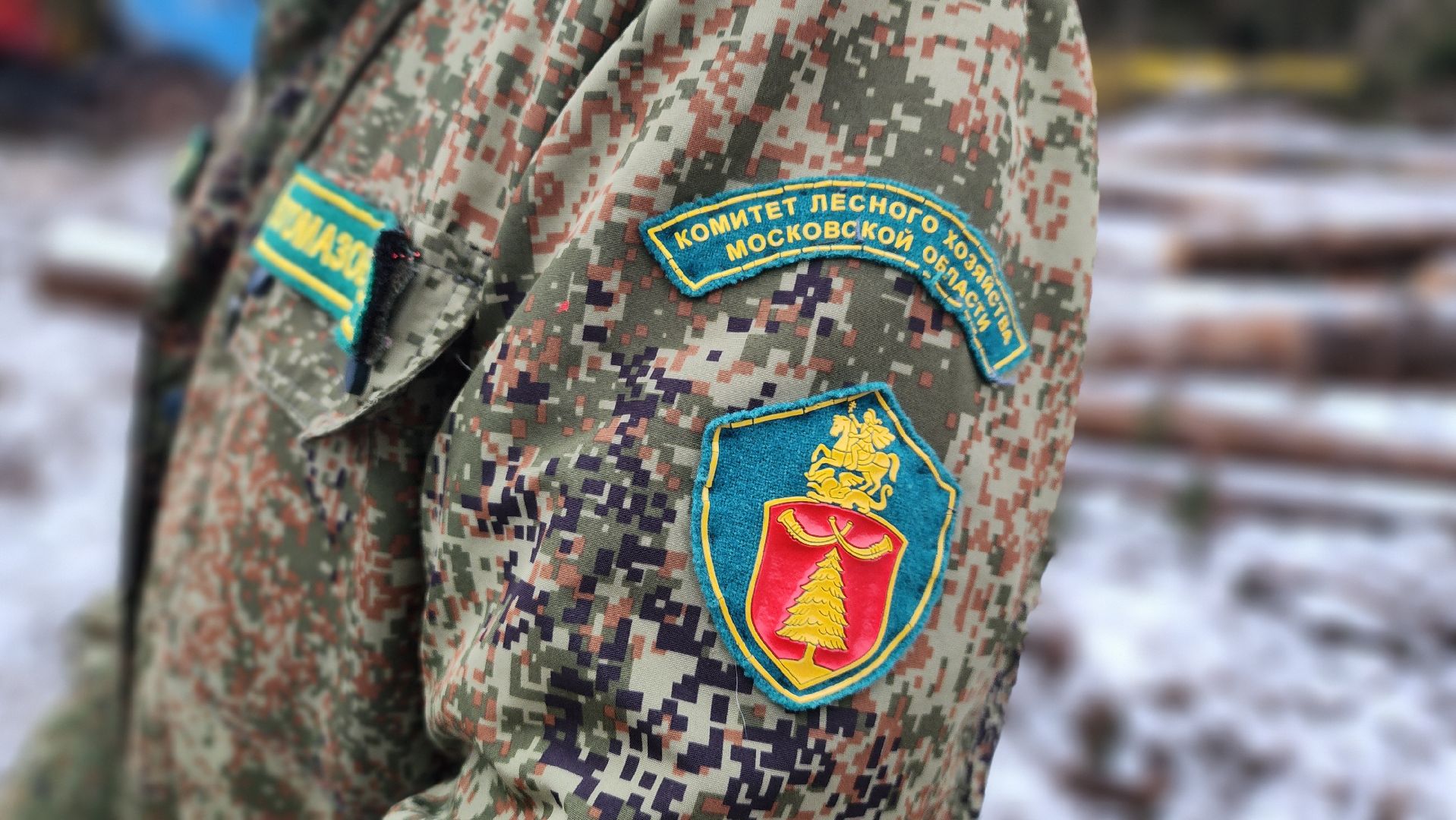 солнечногорск,  клинский филиал лесничества , санитарная вырубка , лесная охрана ,