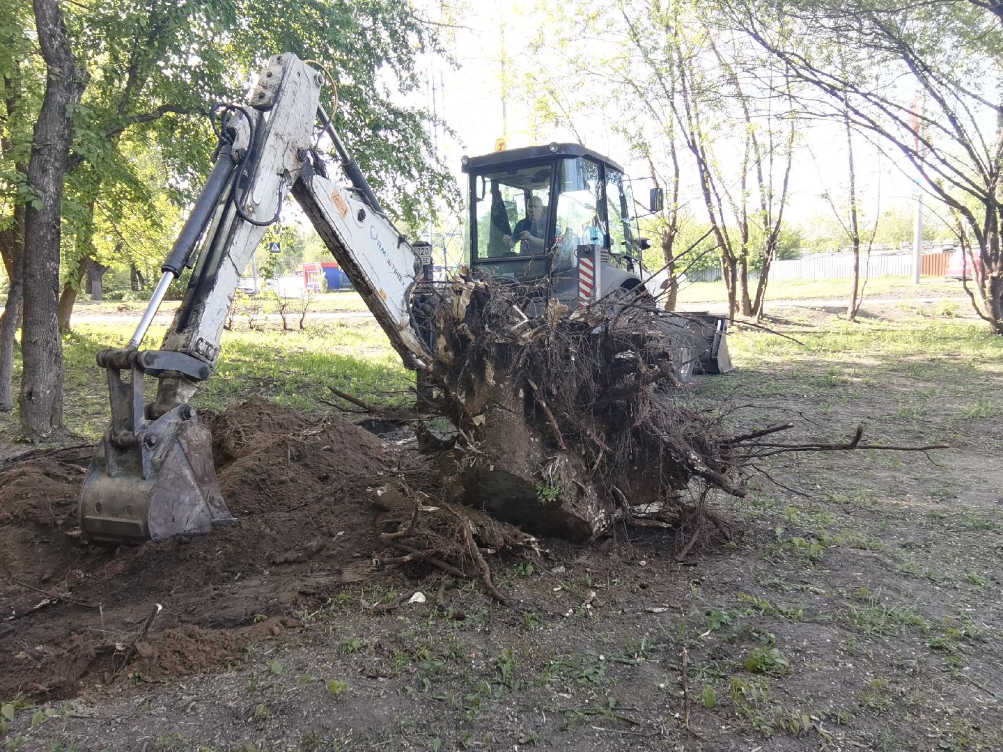 Балашиха, пни, деревья, благоустройство, специальная техника, дворовые площадки, жилые дома, спил аварийных деревьев