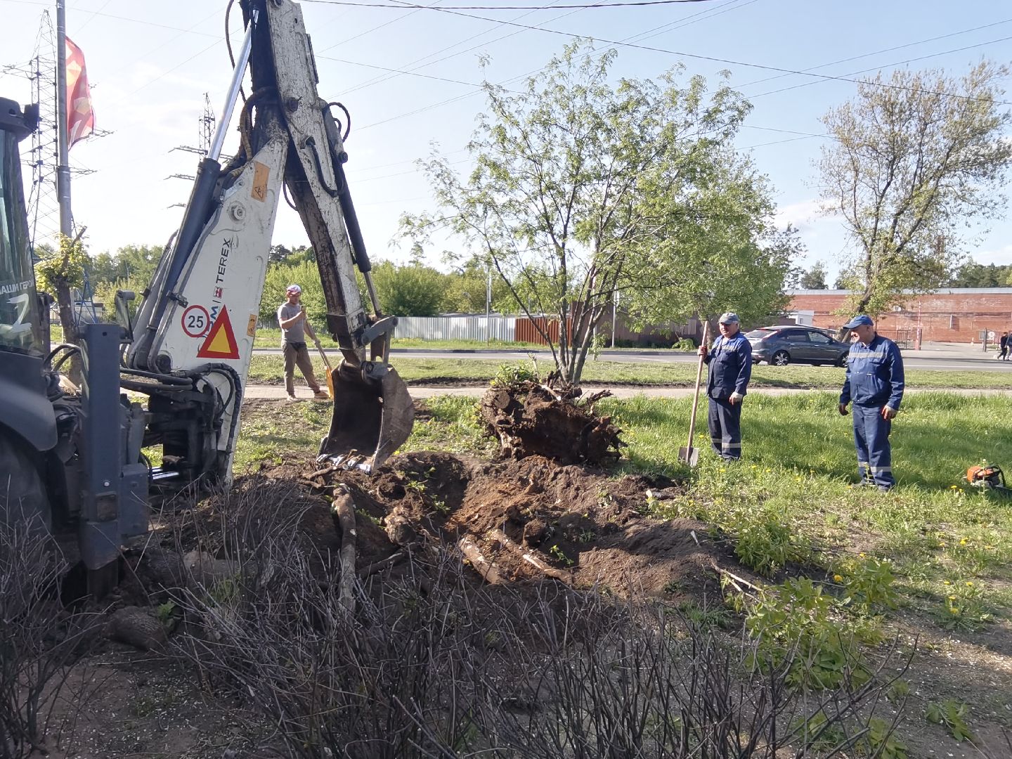 Балашиха, пни, деревья, благоустройство, специальная техника, дворовые площадки, жилые дома, спил аварийных деревьев