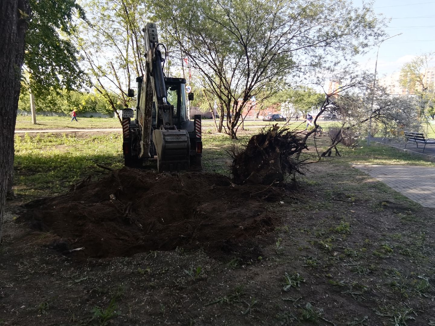 Балашиха, пни, деревья, благоустройство, специальная техника, дворовые площадки, жилые дома, спил аварийных деревьев