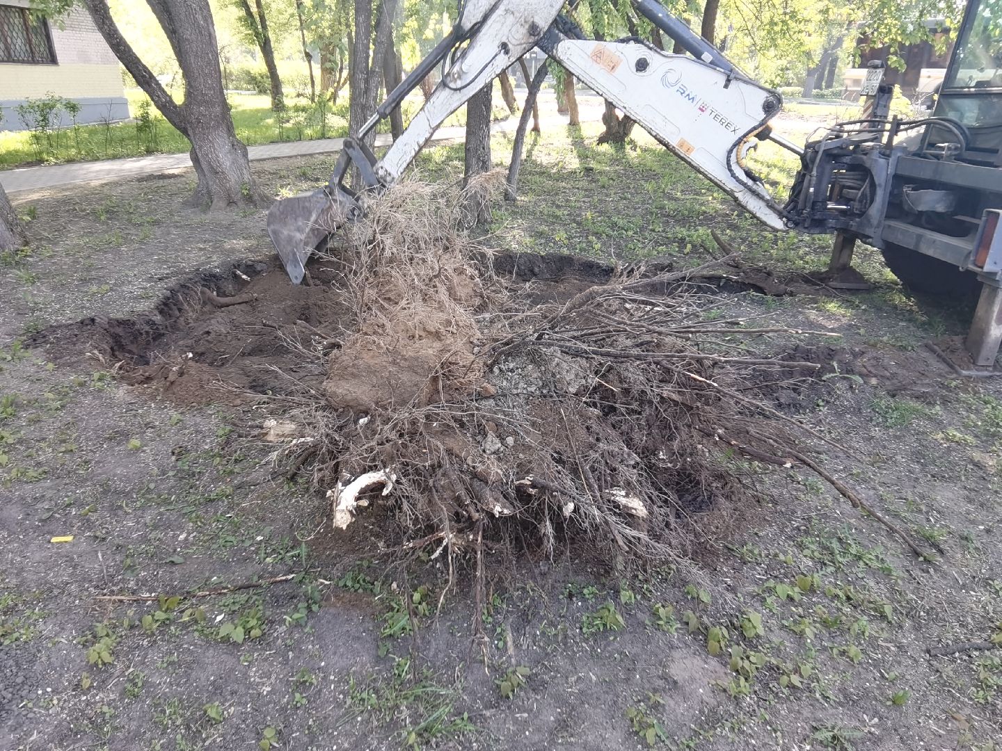 Балашиха, пни, деревья, благоустройство, специальная техника, дворовые площадки, жилые дома, спил аварийных деревьев