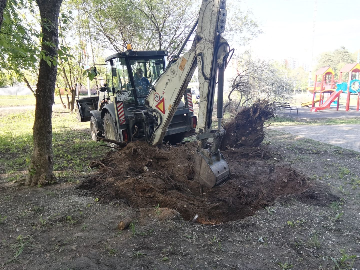 Балашиха, пни, деревья, благоустройство, специальная техника, дворовые площадки, жилые дома, спил аварийных деревьев