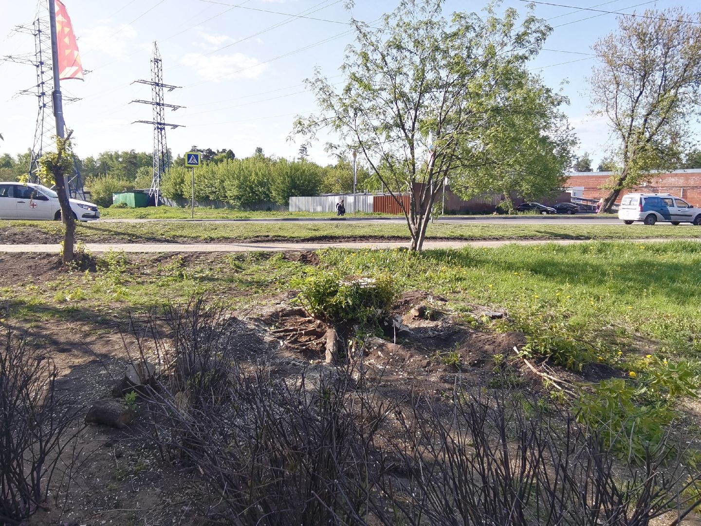 Балашиха, пни, деревья, благоустройство, специальная техника, дворовые площадки, жилые дома, спил аварийных деревьев