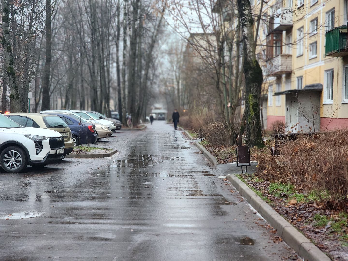 королёв, выездная администиация, встреча жителей с властью королева, губернатор московской области,