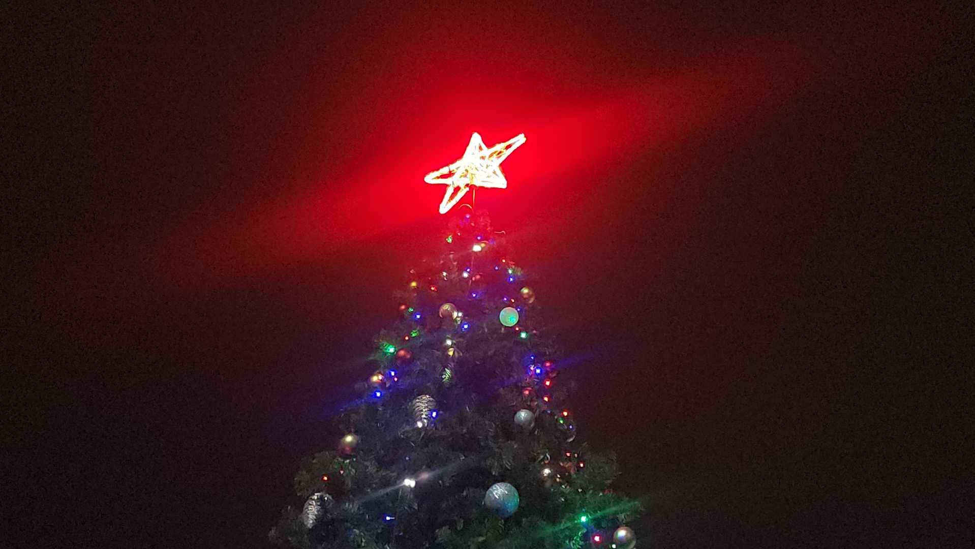 Луховицы, Красная пойма,