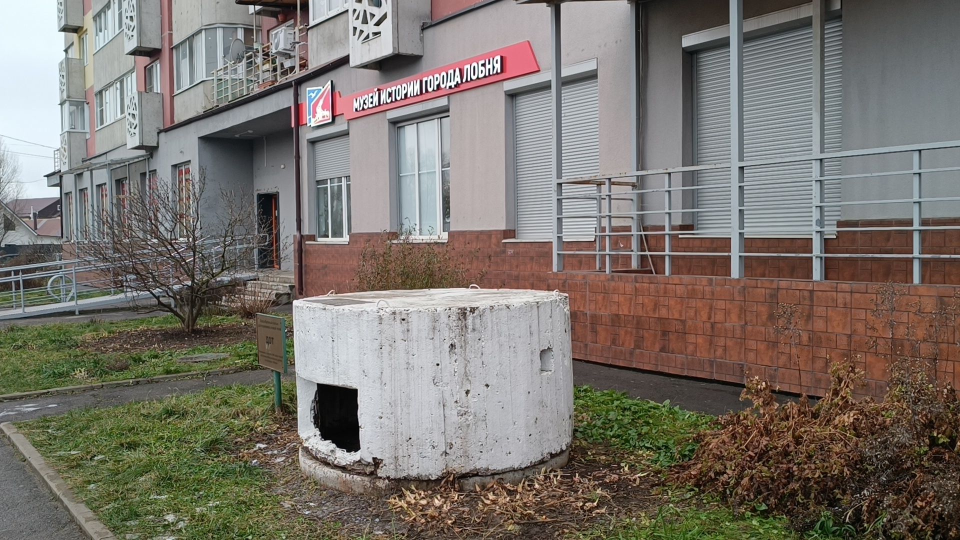 мцд, железная дорога, лобня,