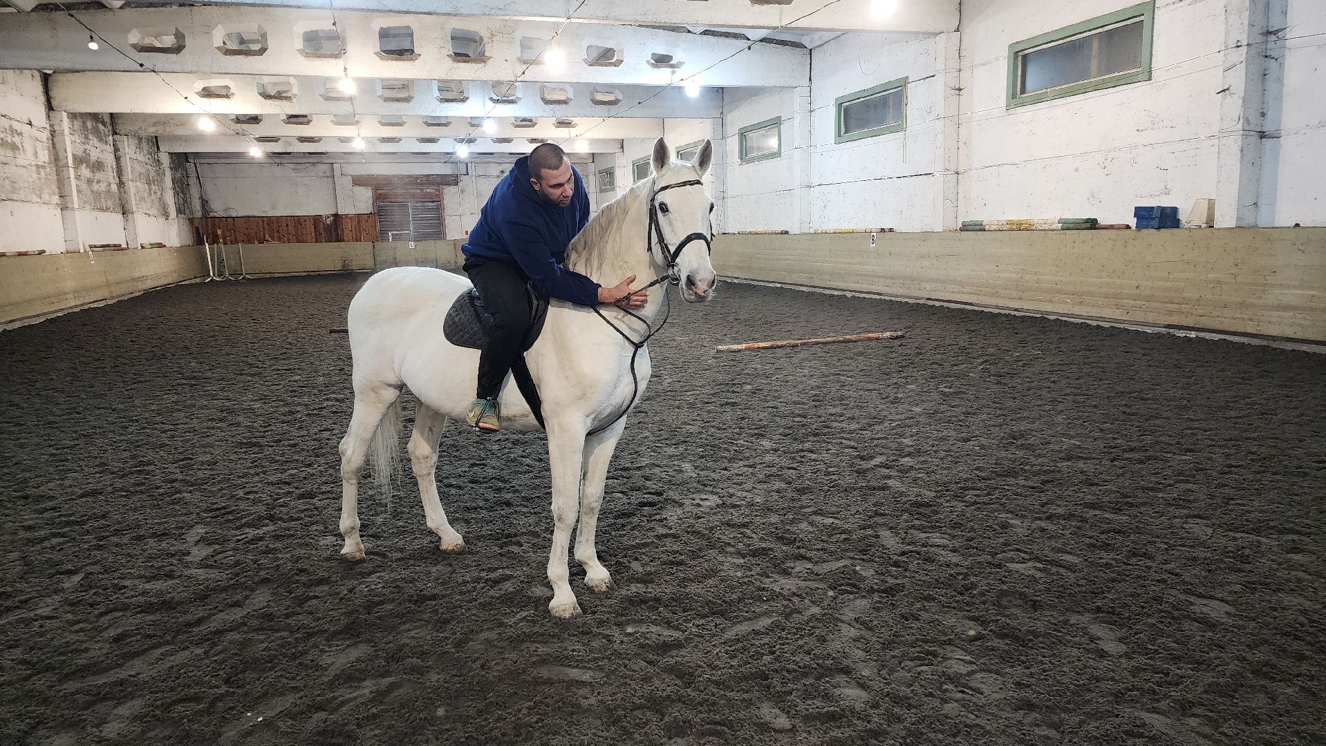год лошади, волоколамск, символ нового года,