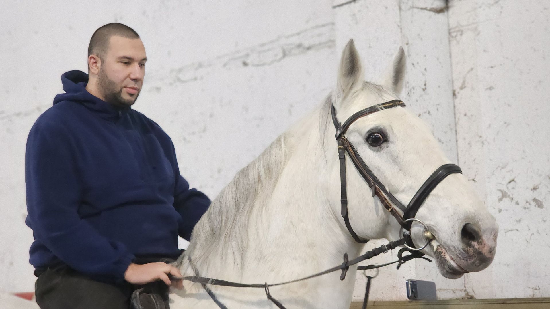 год лошади, волоколамск, символ нового года,