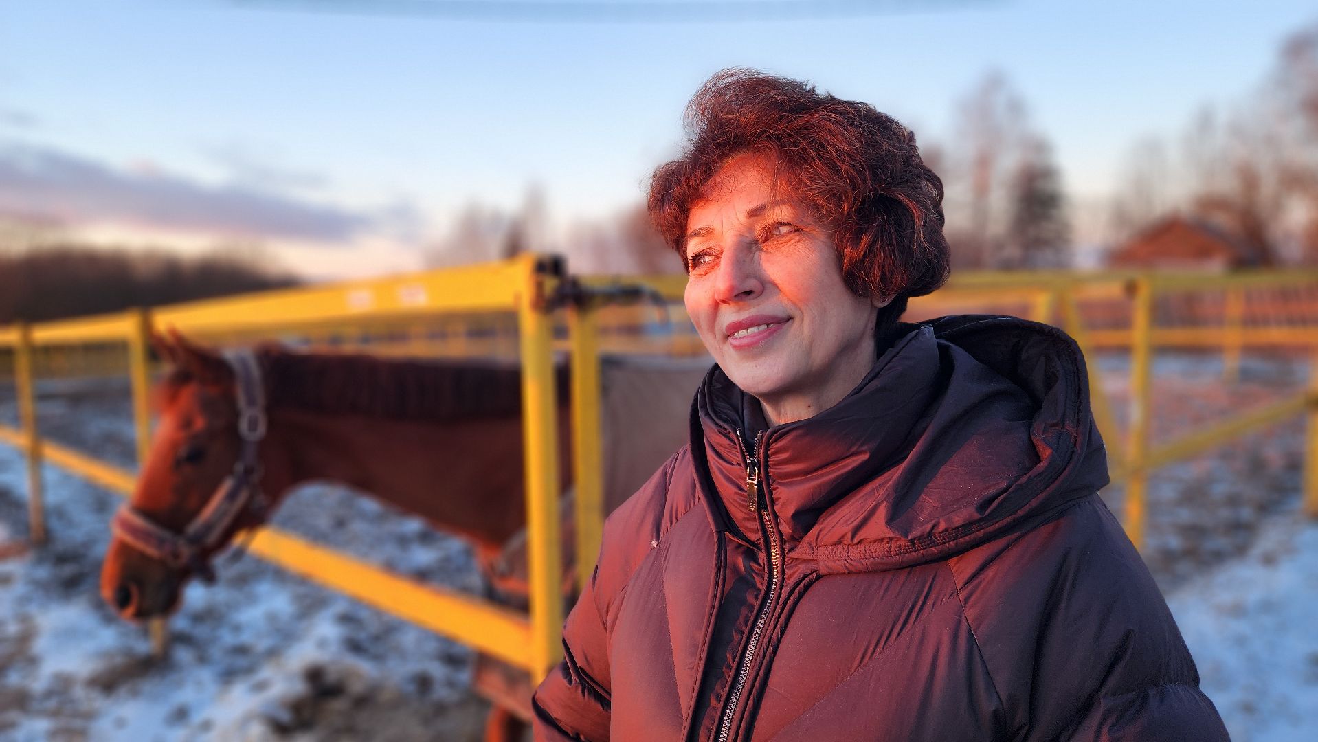 год лошади, волоколамск, символ нового года,