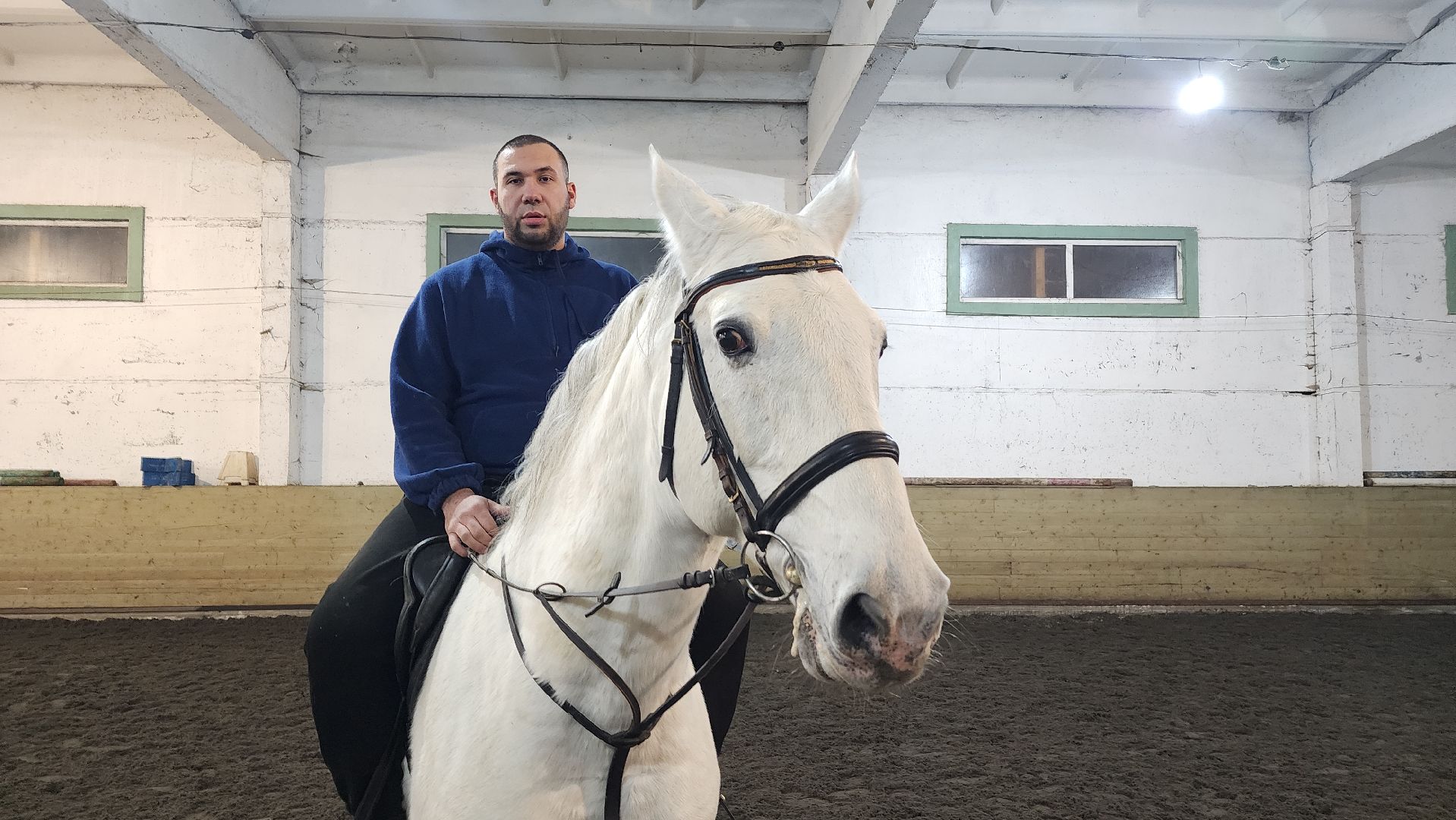 год лошади, волоколамск, символ нового года,