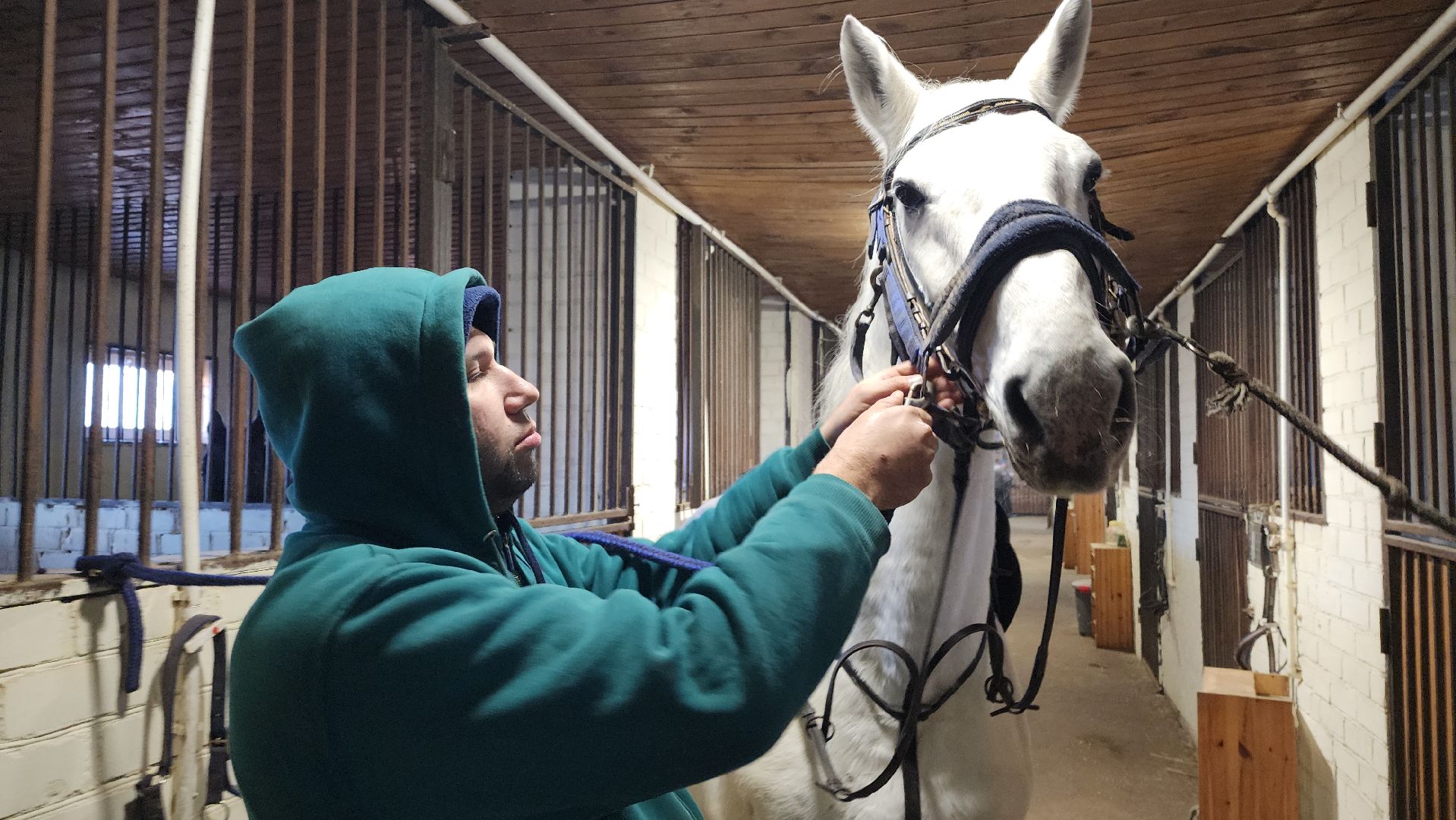 год лошади, волоколамск, символ нового года,