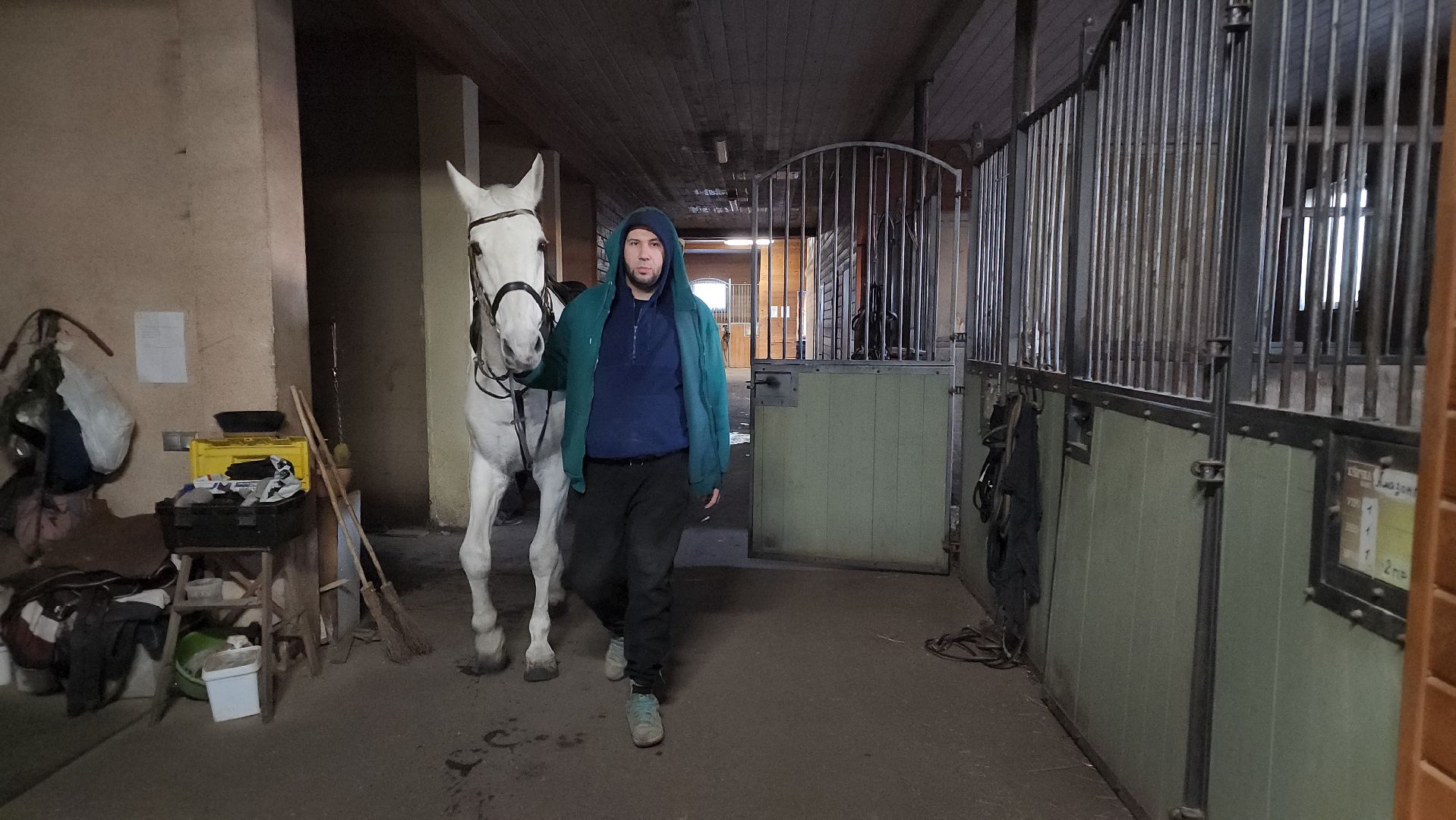 год лошади, волоколамск, символ нового года,
