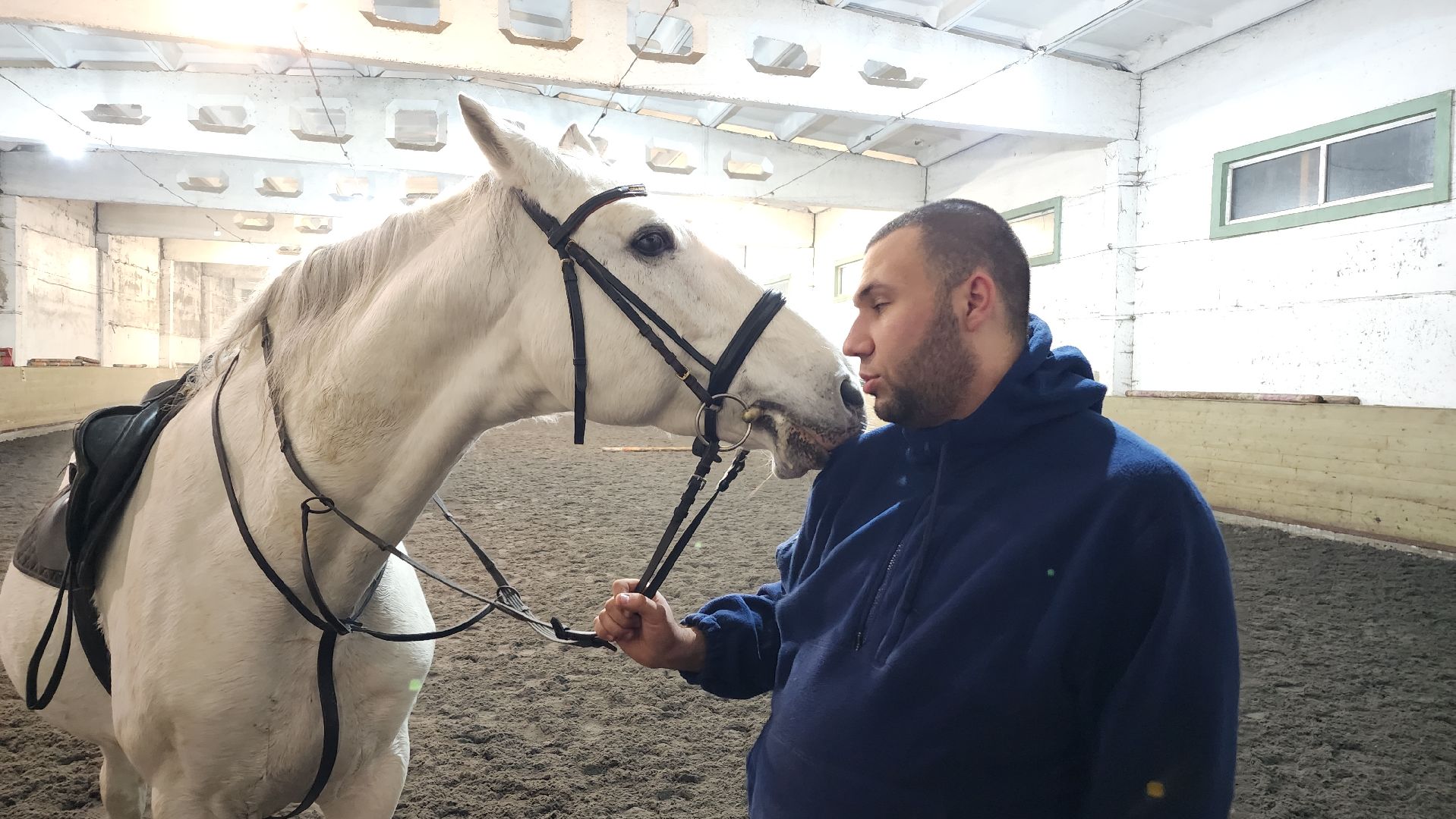 год лошади, волоколамск, символ нового года,