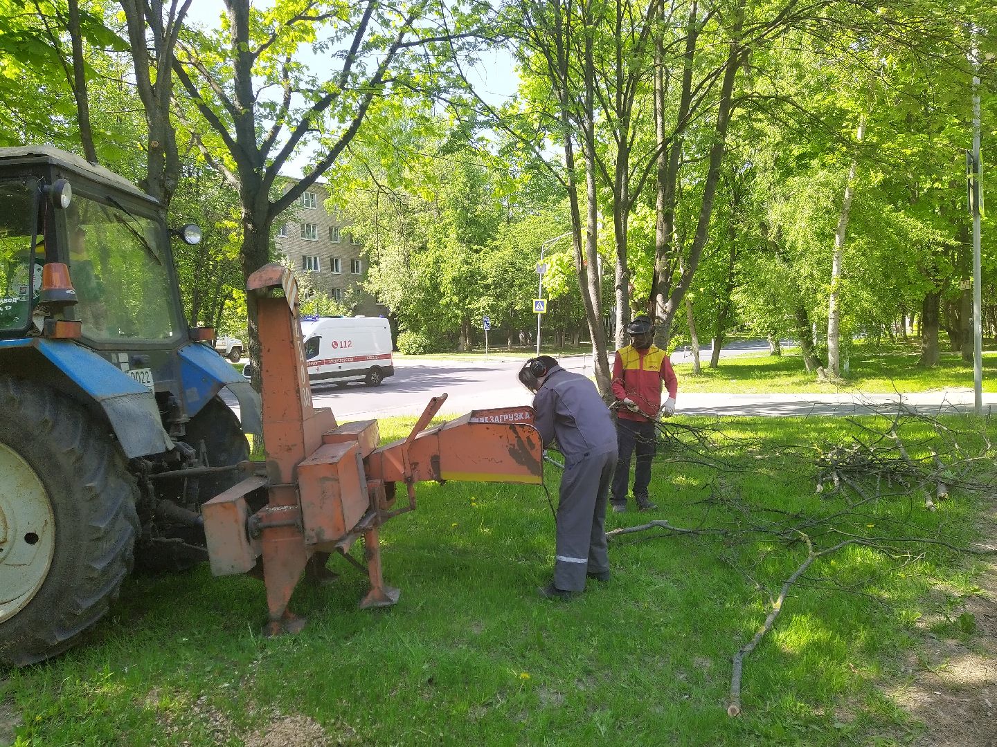 Долгопрудный, опиловка, деревья, ветки