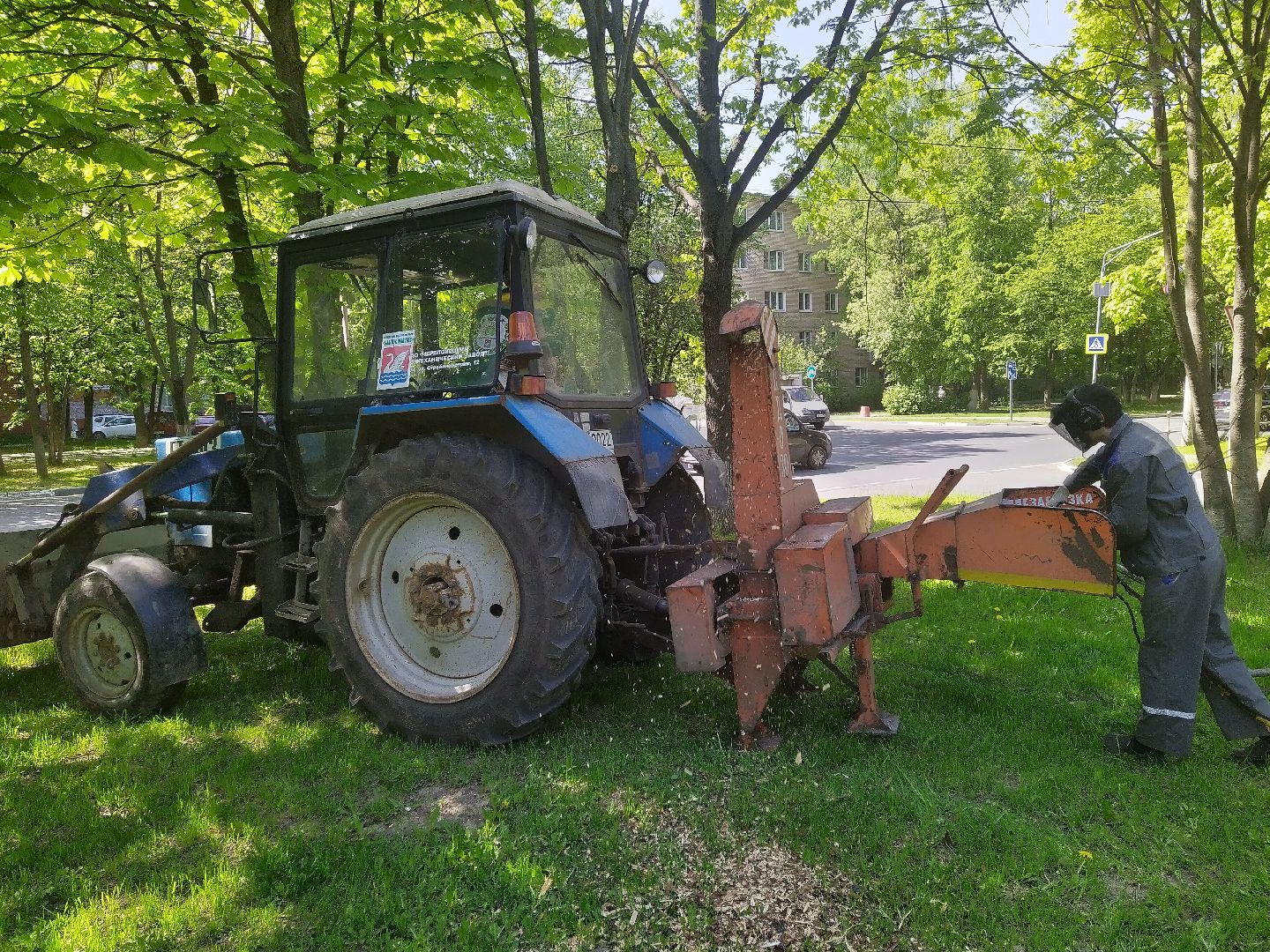 Долгопрудный, опиловка, деревья, ветки