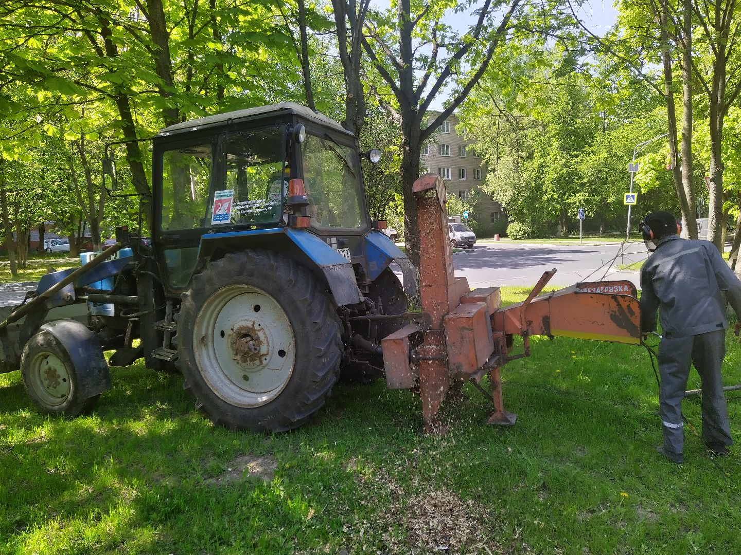 Долгопрудный, опиловка, деревья, ветки